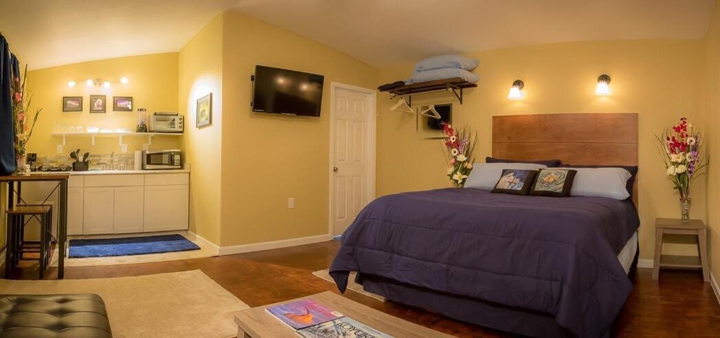 One-Bedroom Villa - Photo 4