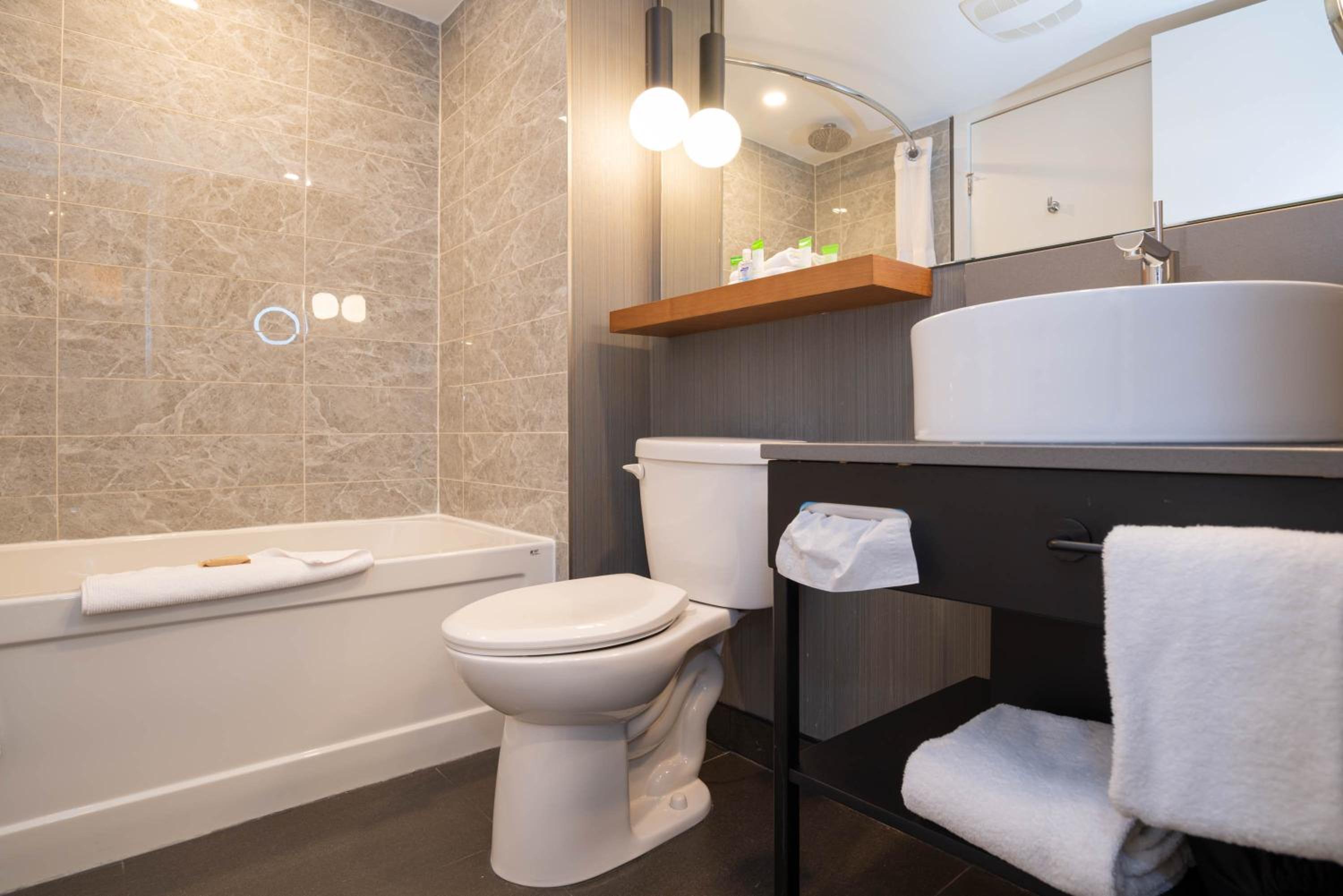 Standard Suite, 1 King Bed, Sofa Bed, Kitchenette