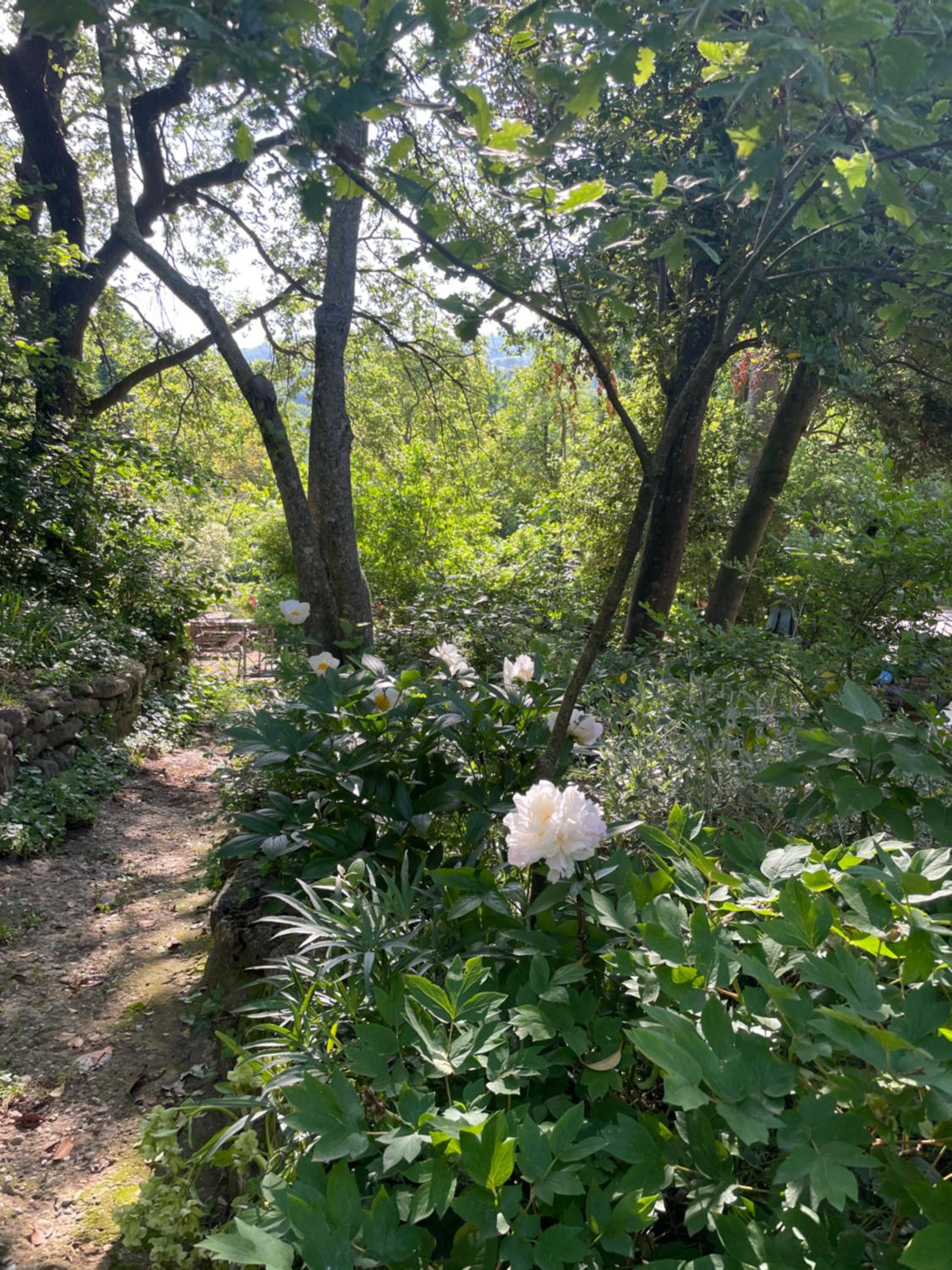 Studio with Garden View - Photo 26