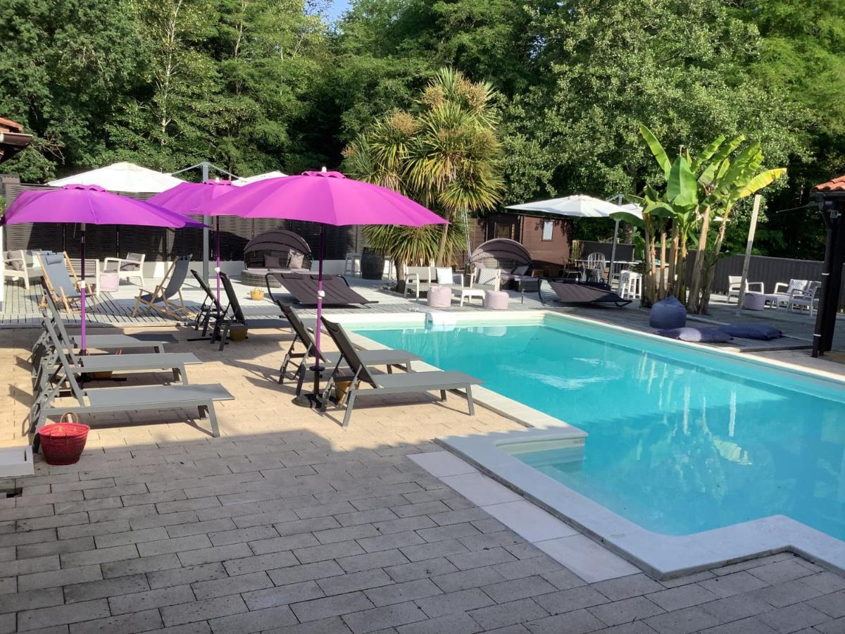 Double Room with Pool View photo 2