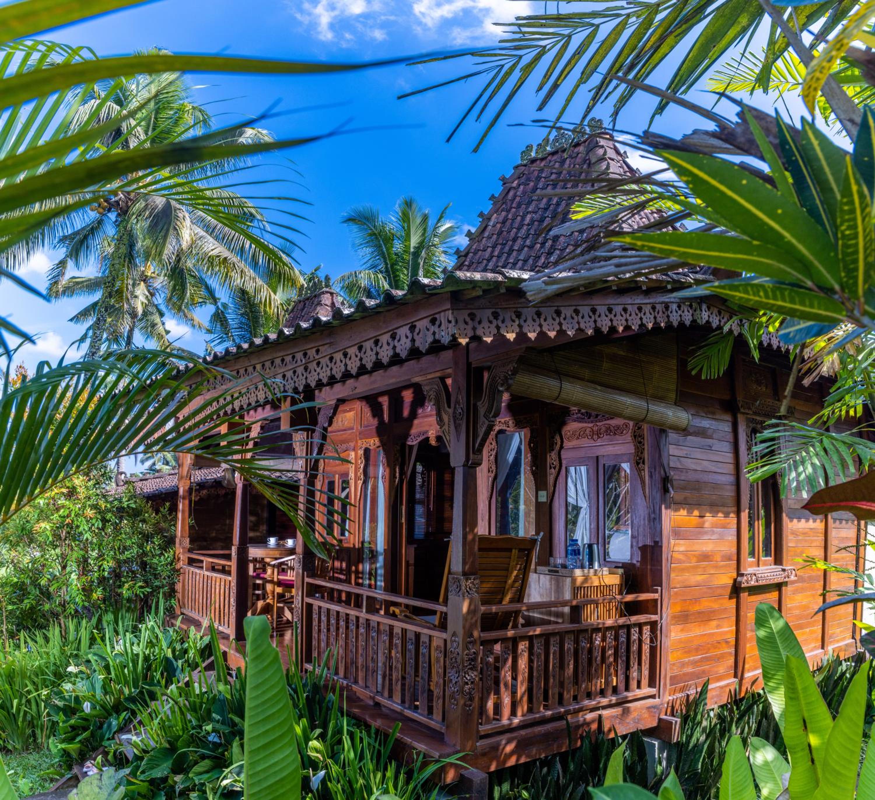 One-Bedroom Villa - Photo 11