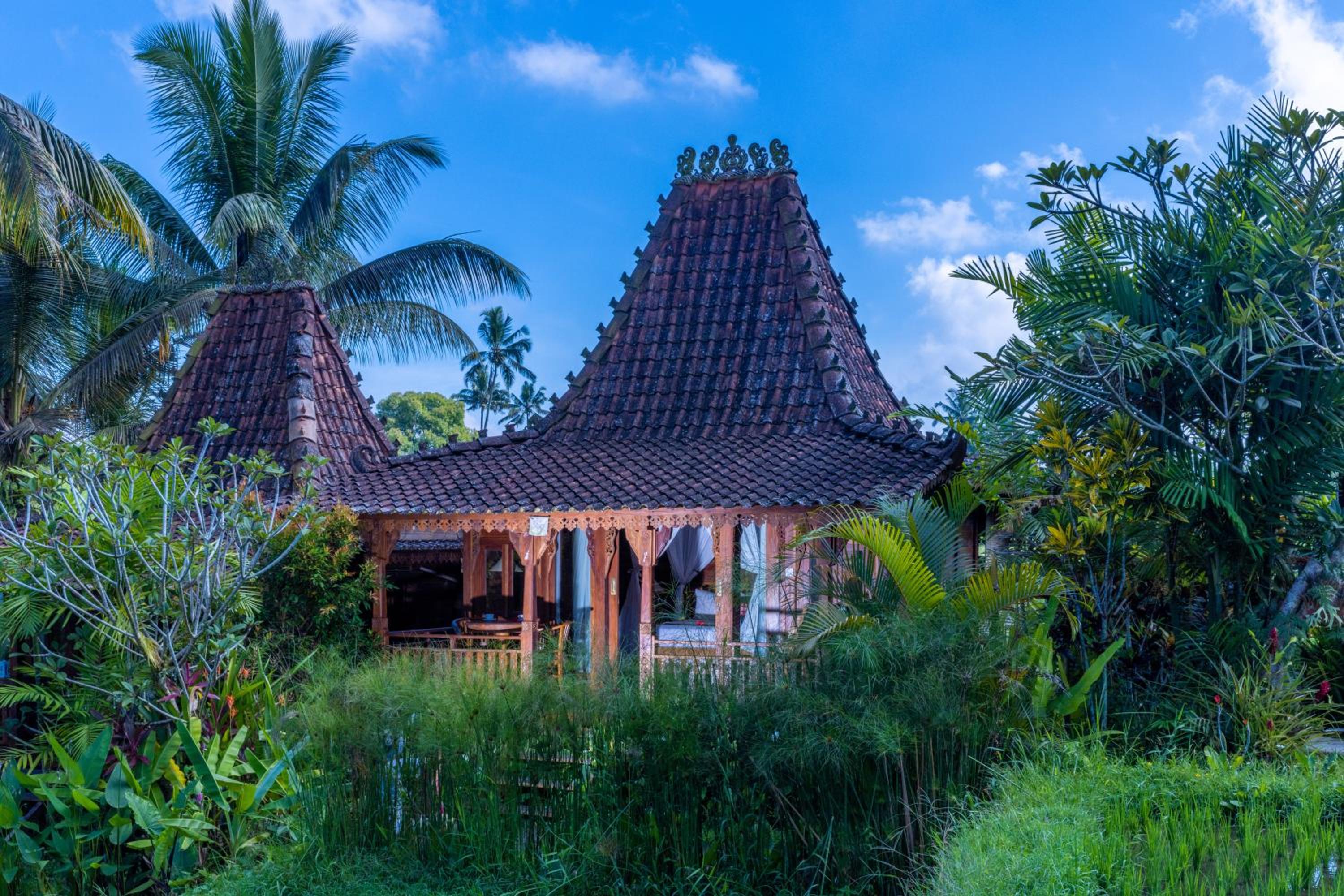 One-Bedroom Villa - Photo 19