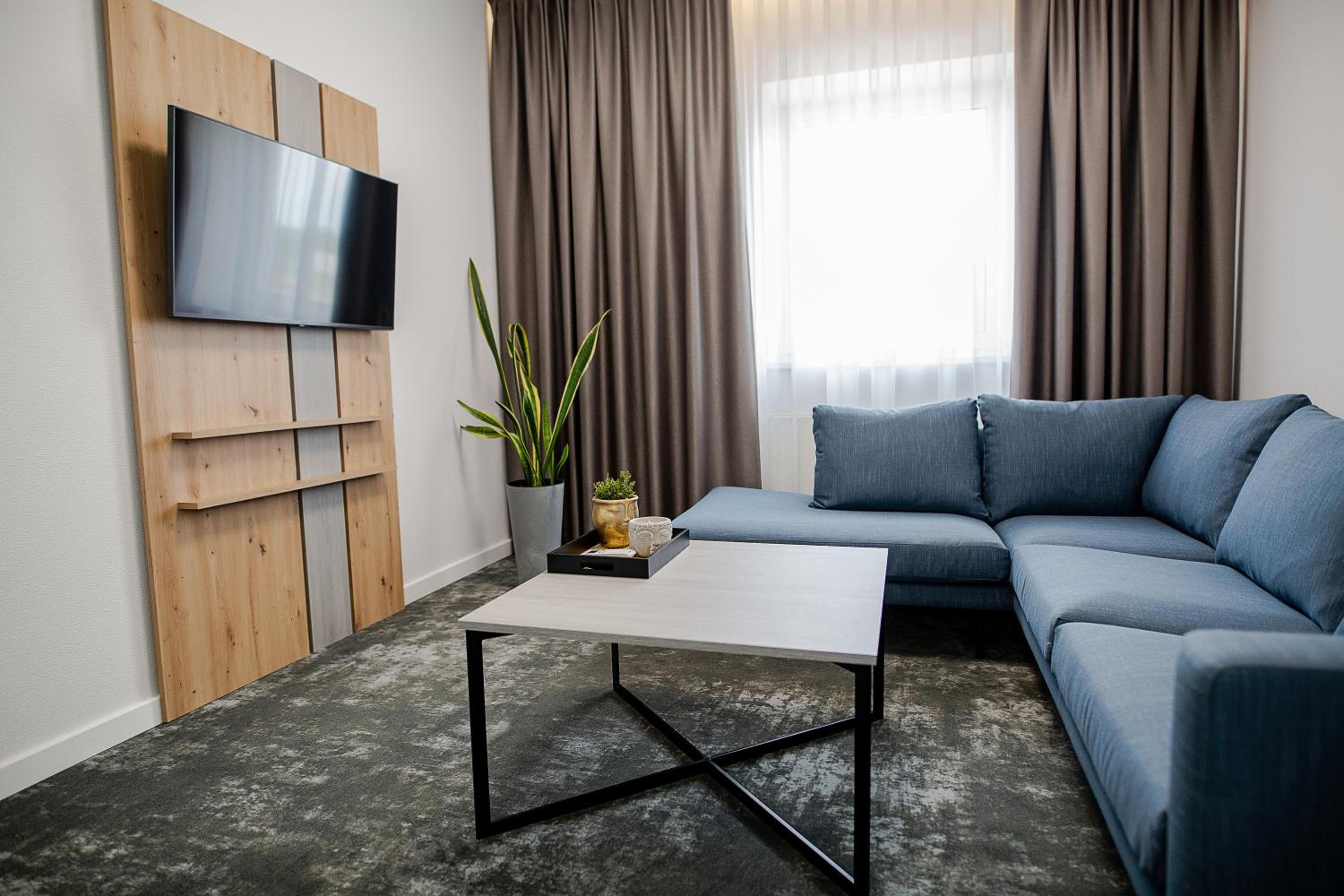 Suite - Photo 3
