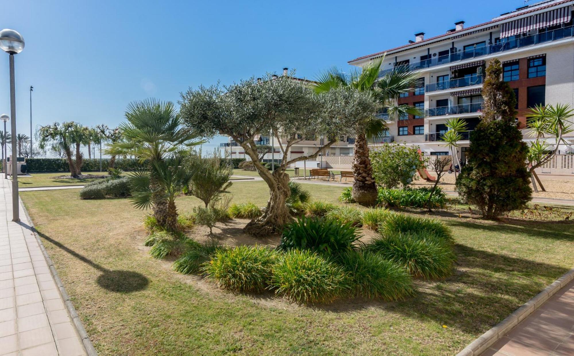 Apartment with Terrace photo 2