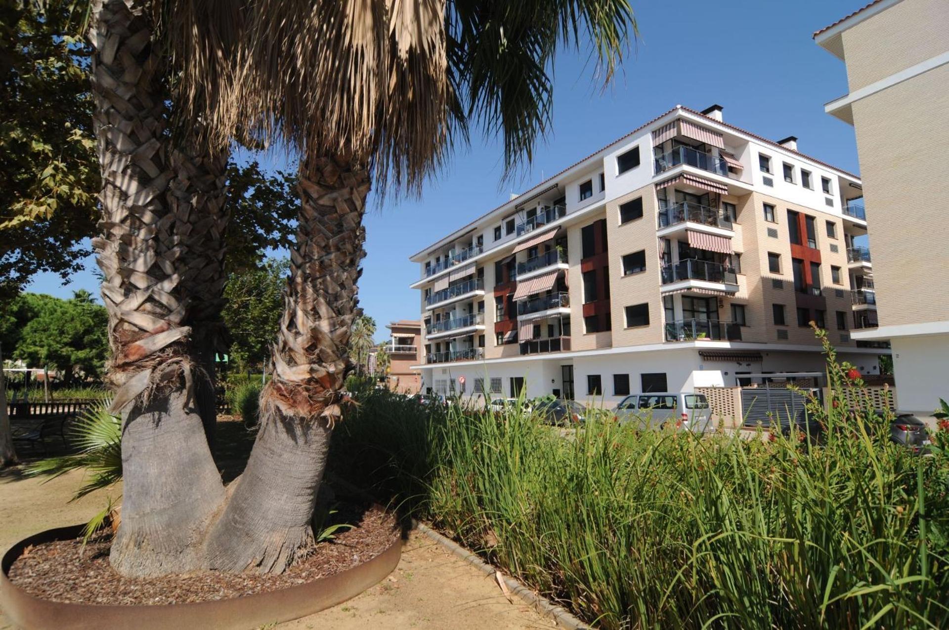Apartment with Terrace photo 3