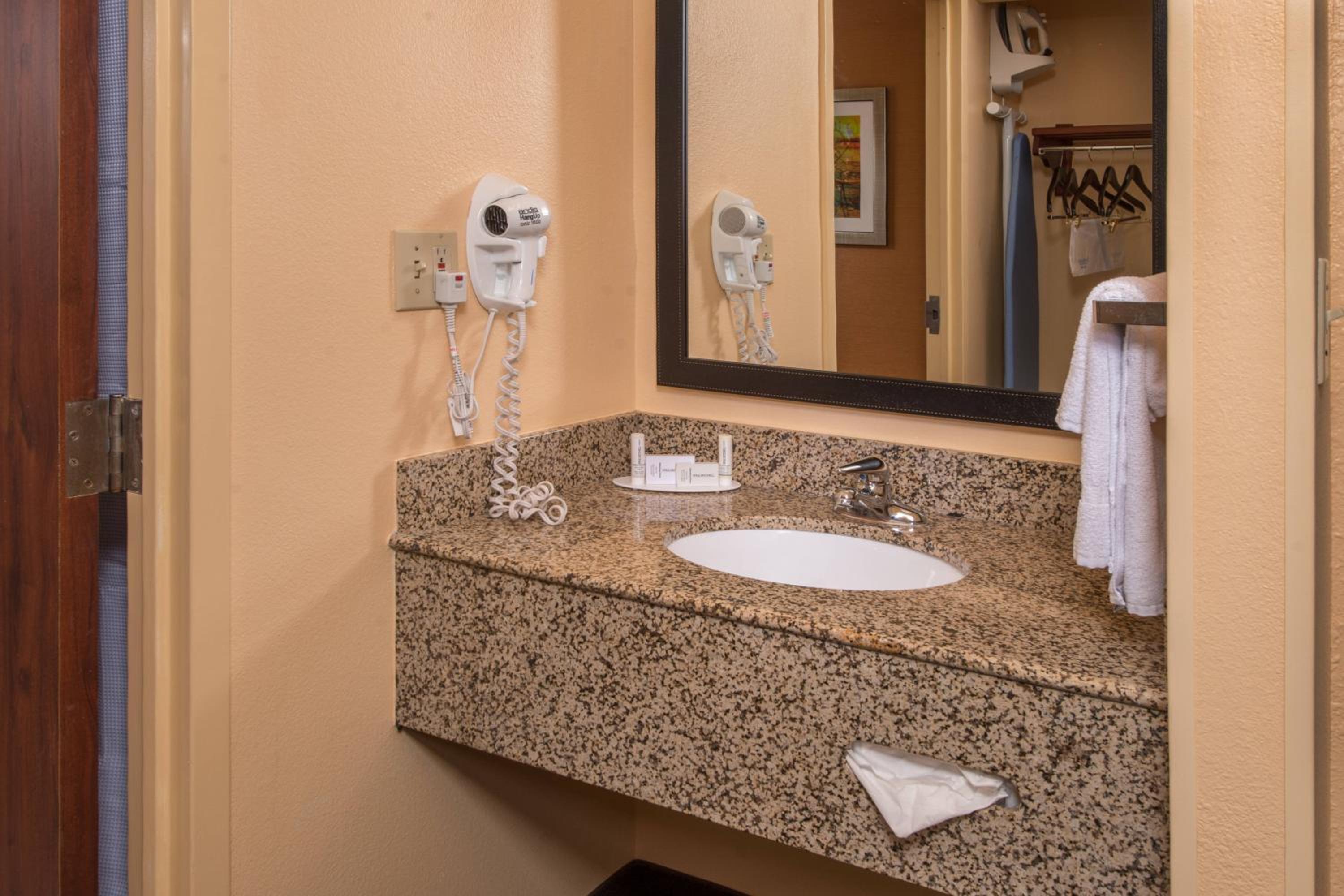 King Room with Roll-In Shower - Mobility and Hearing Accessible - Photo 4