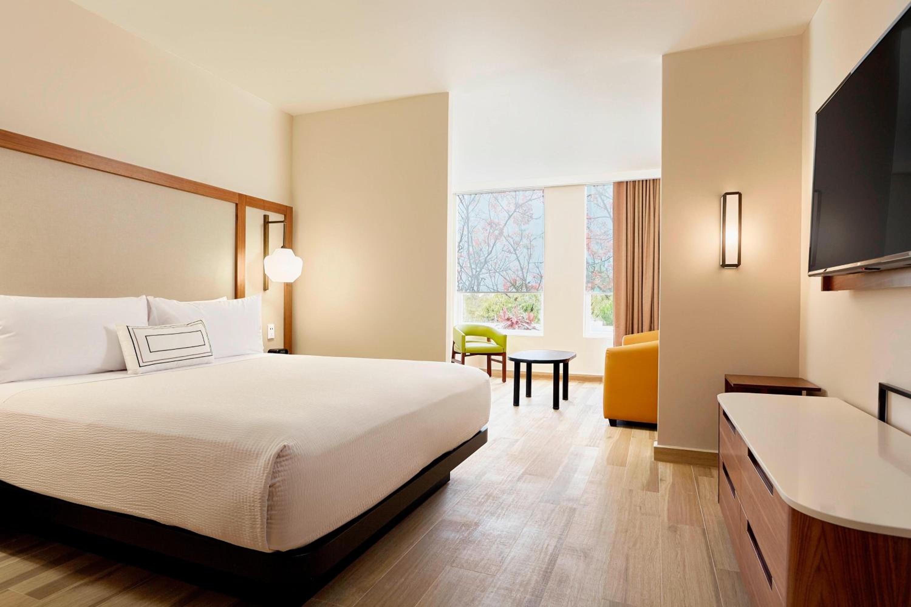 1 Bedroom Suite, 1 King, Sofa bed and Airport Transfer photo 2