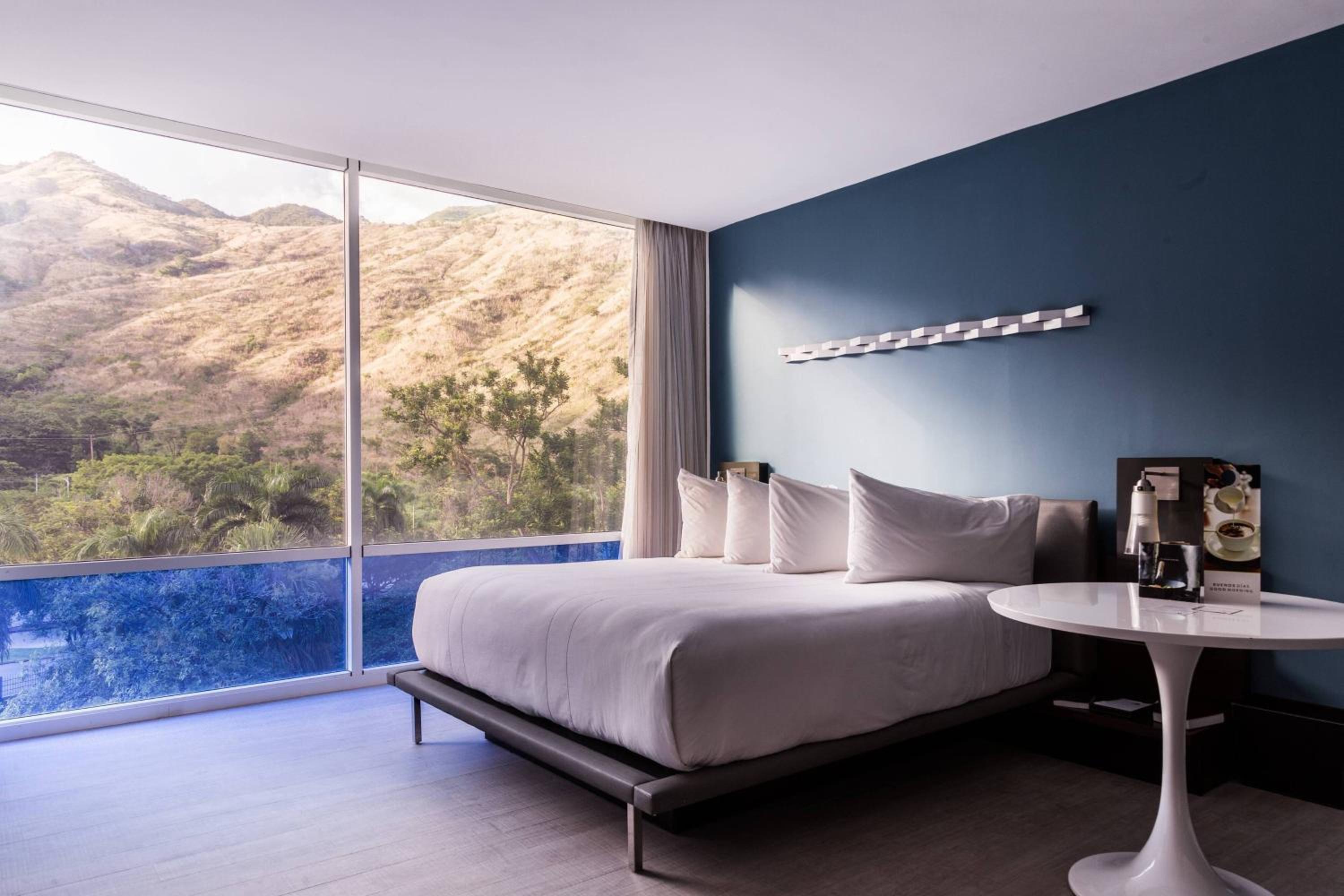 Standard King Room with Mountain View