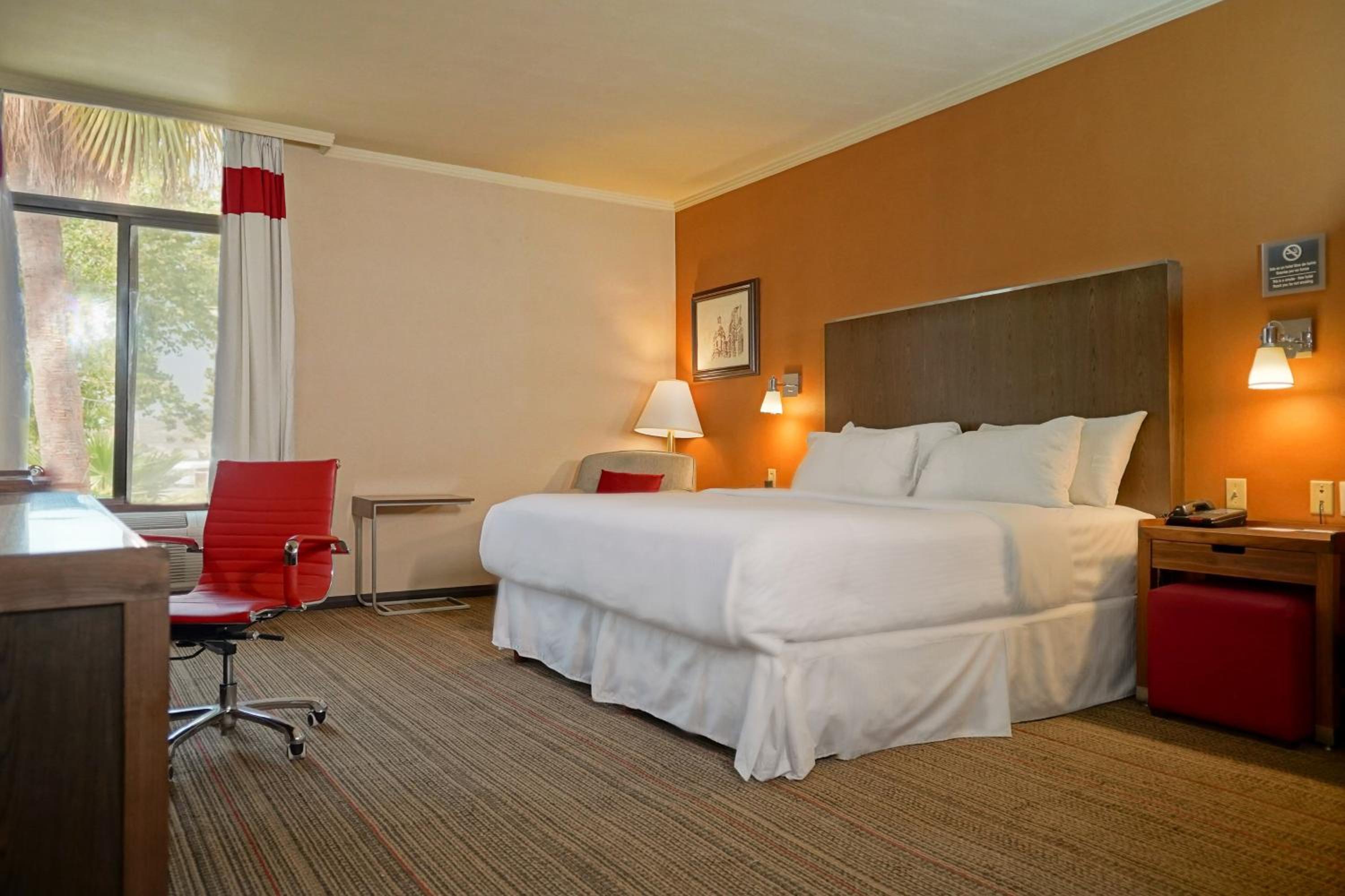 Suite with living area, 1 Bedroom 2 room Suite, 1 King - Photo 1