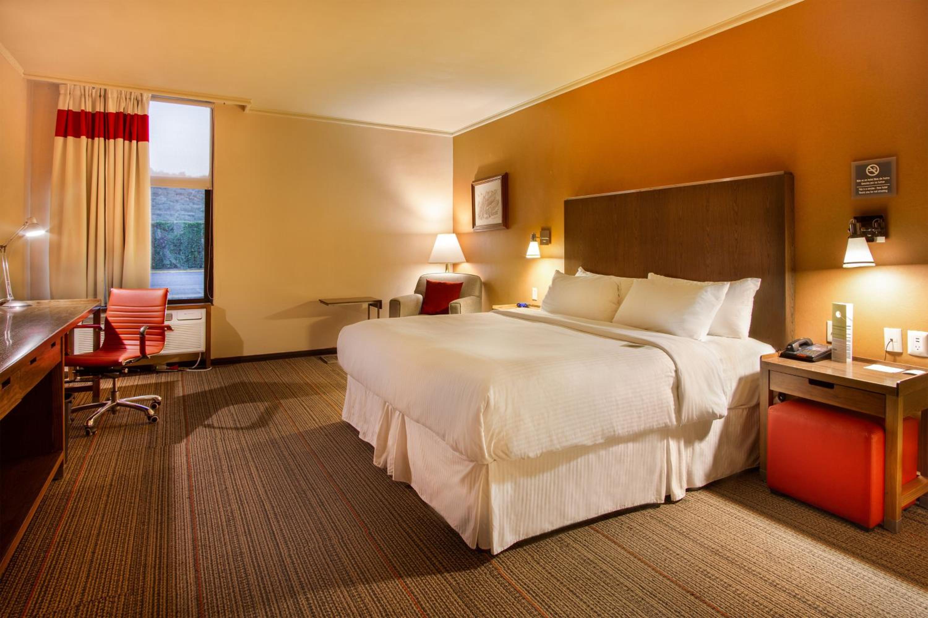 Traditional King, Guest room, 1 King - Photo 2
