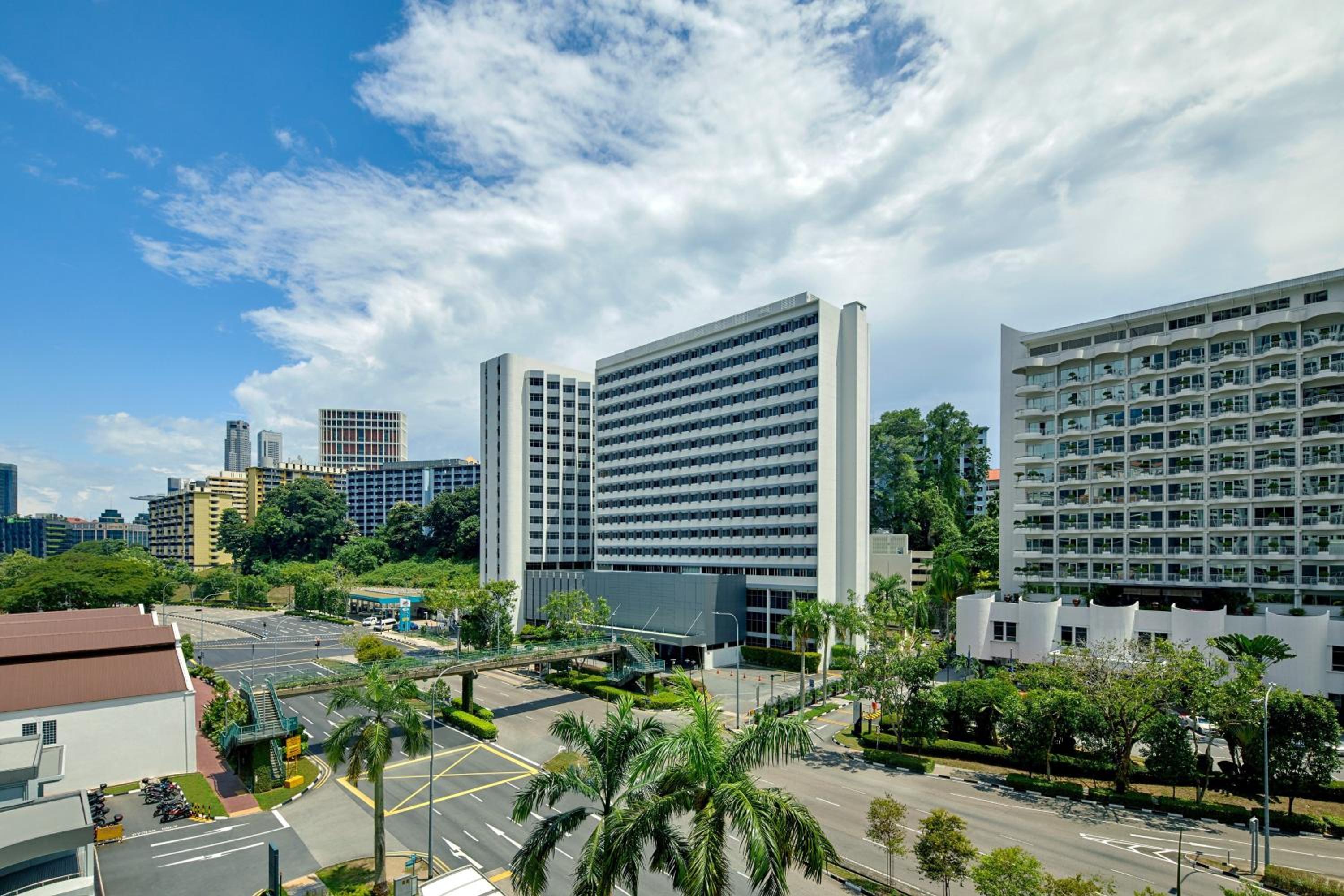 1 Bedroom Suite, 1 King, City view photo 3