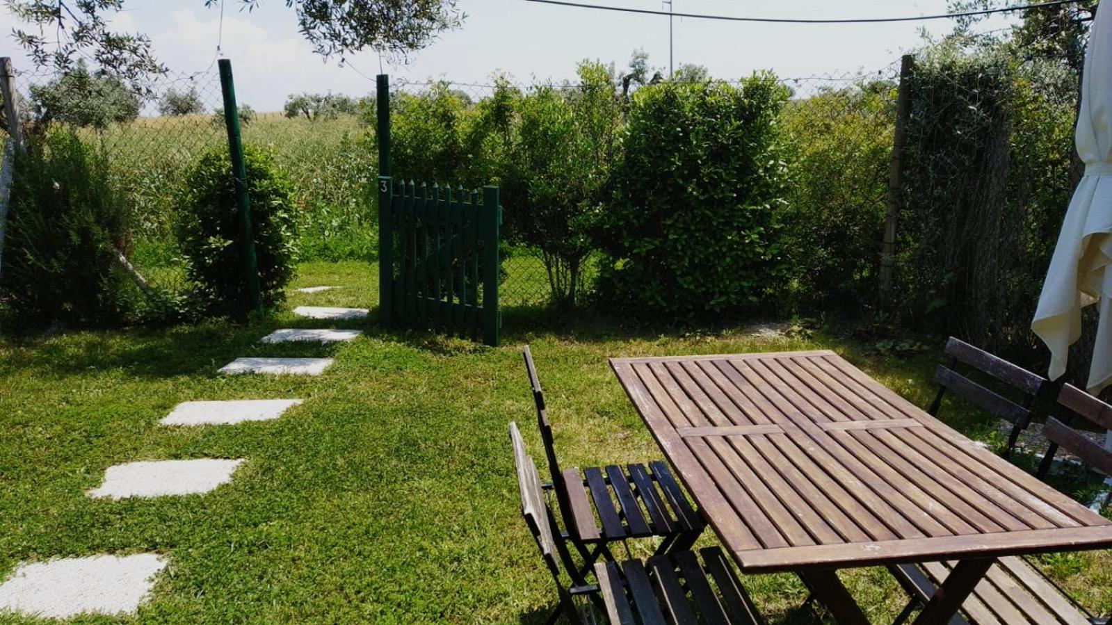 Apartment with Garden View photo 3