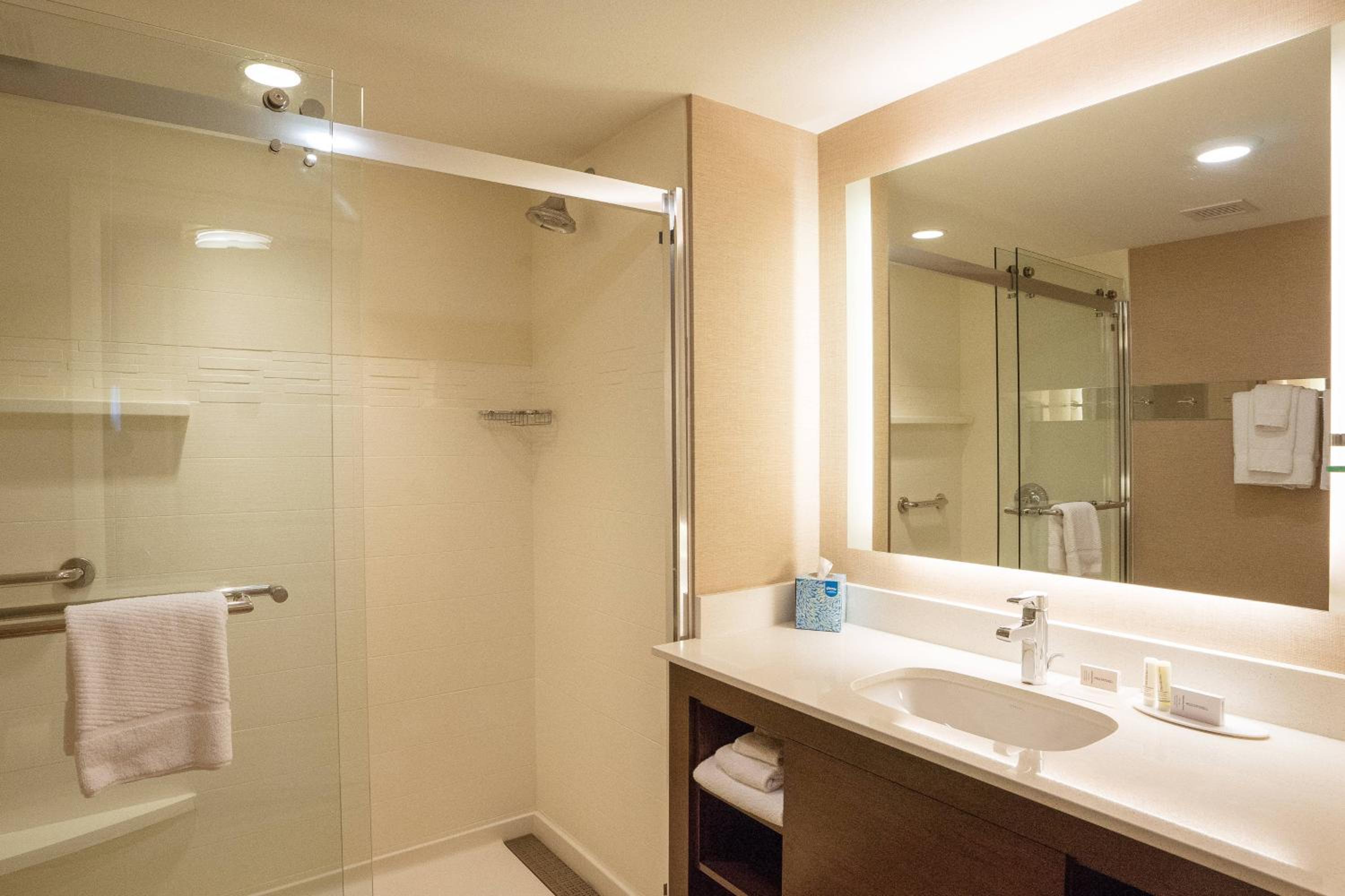 One-Bedroom King Suite with Sofa Bed - Hearing Accessible photo 3