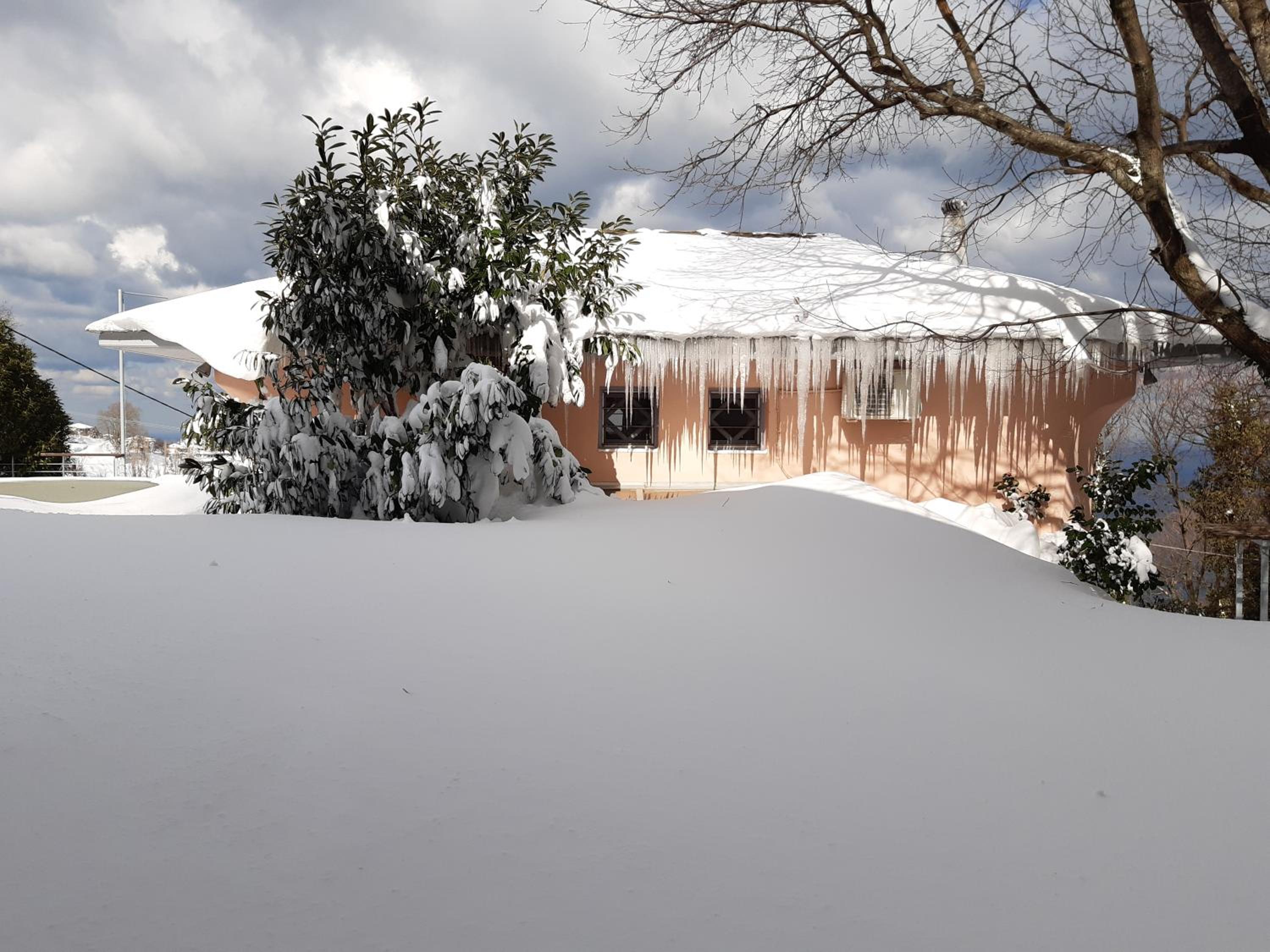 Guest house B photo 2