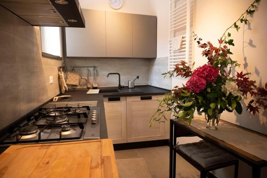 One-Bedroom House photo 2
