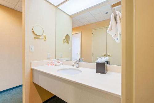 Suite King photo 3
