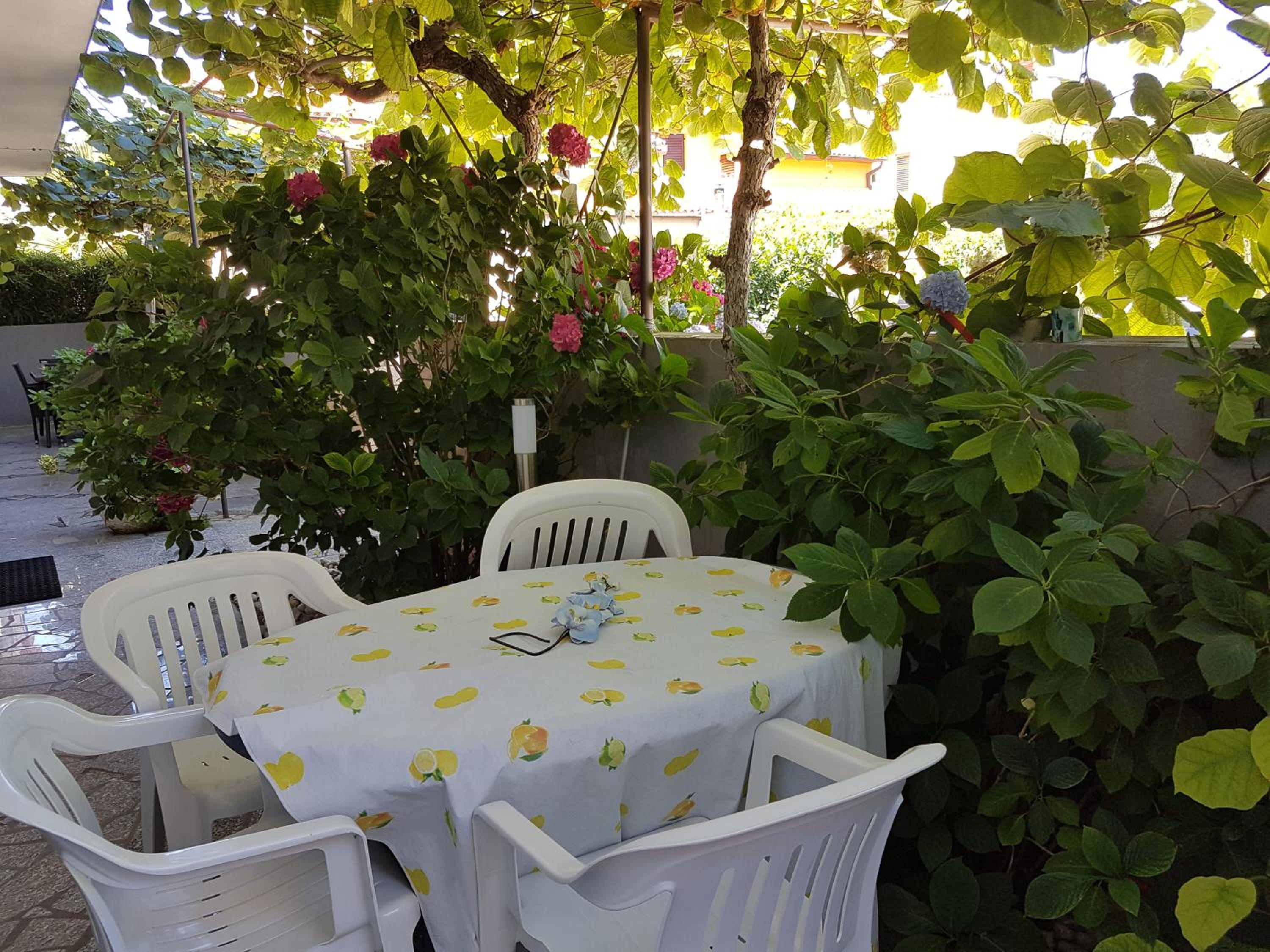 Apartment with Terrace photo 3