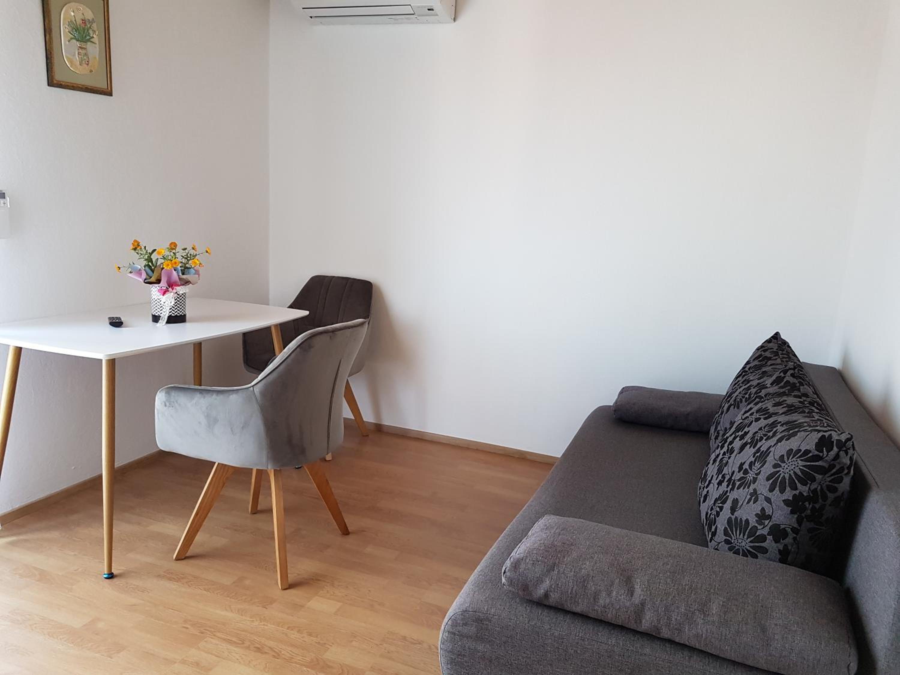 Apartment with Terrace photo 2