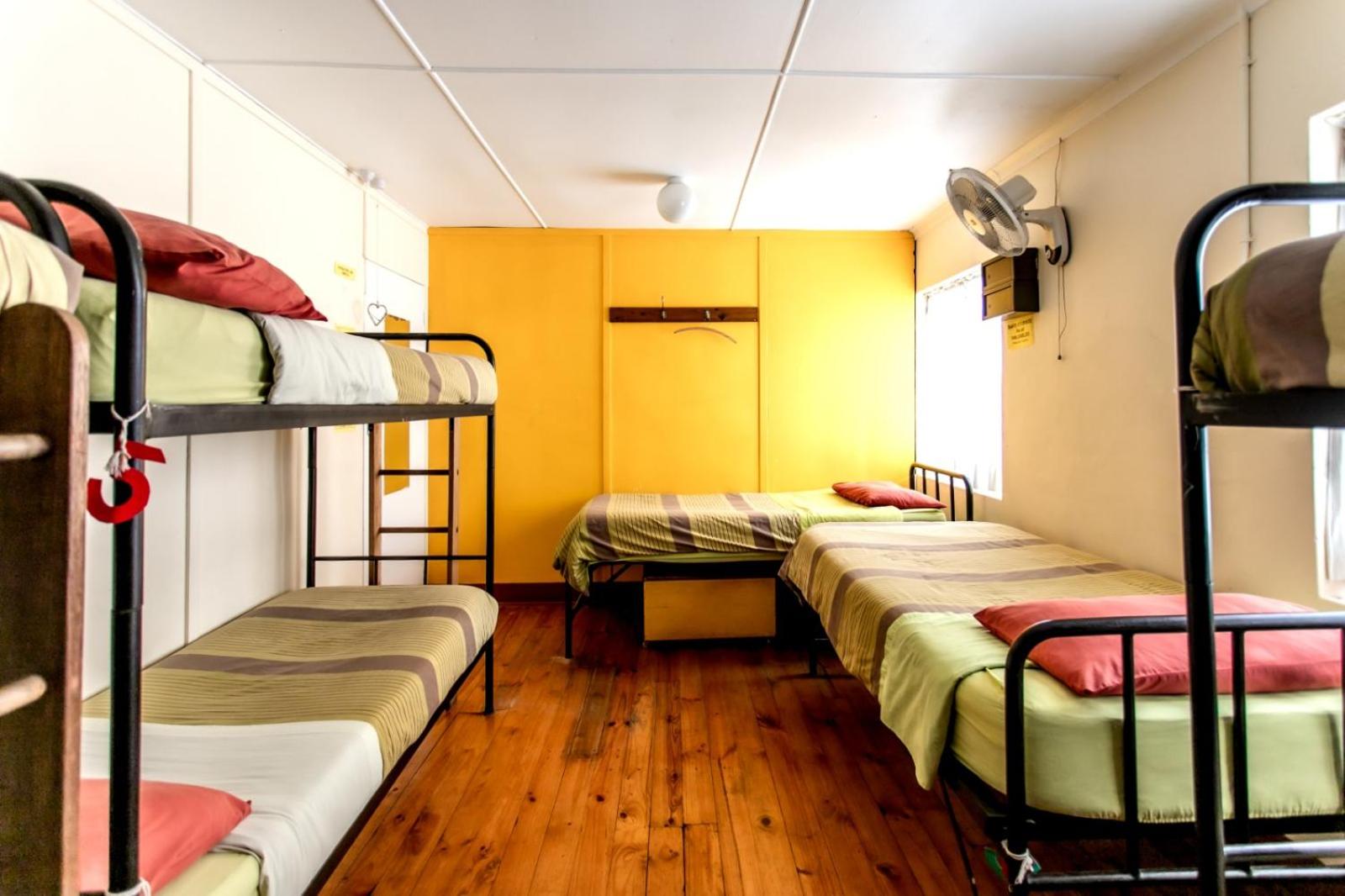 8-Bed Mixed Dormitory Room photo 1