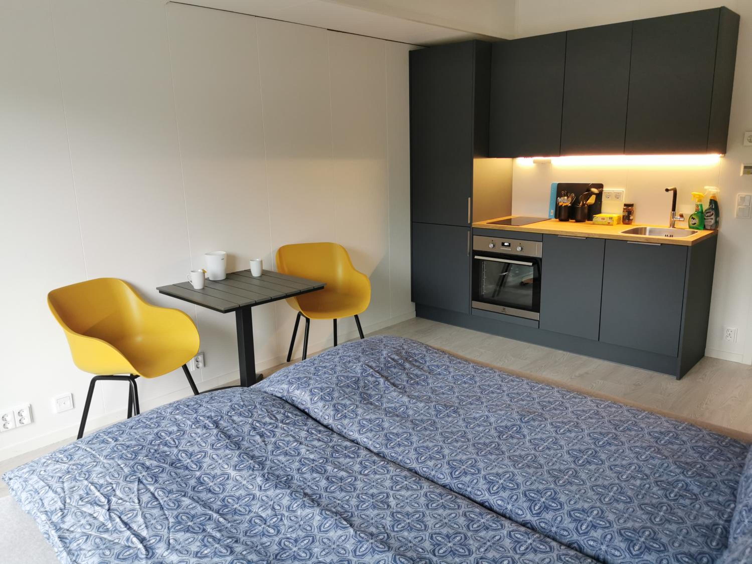 Studio Apartment photo 3