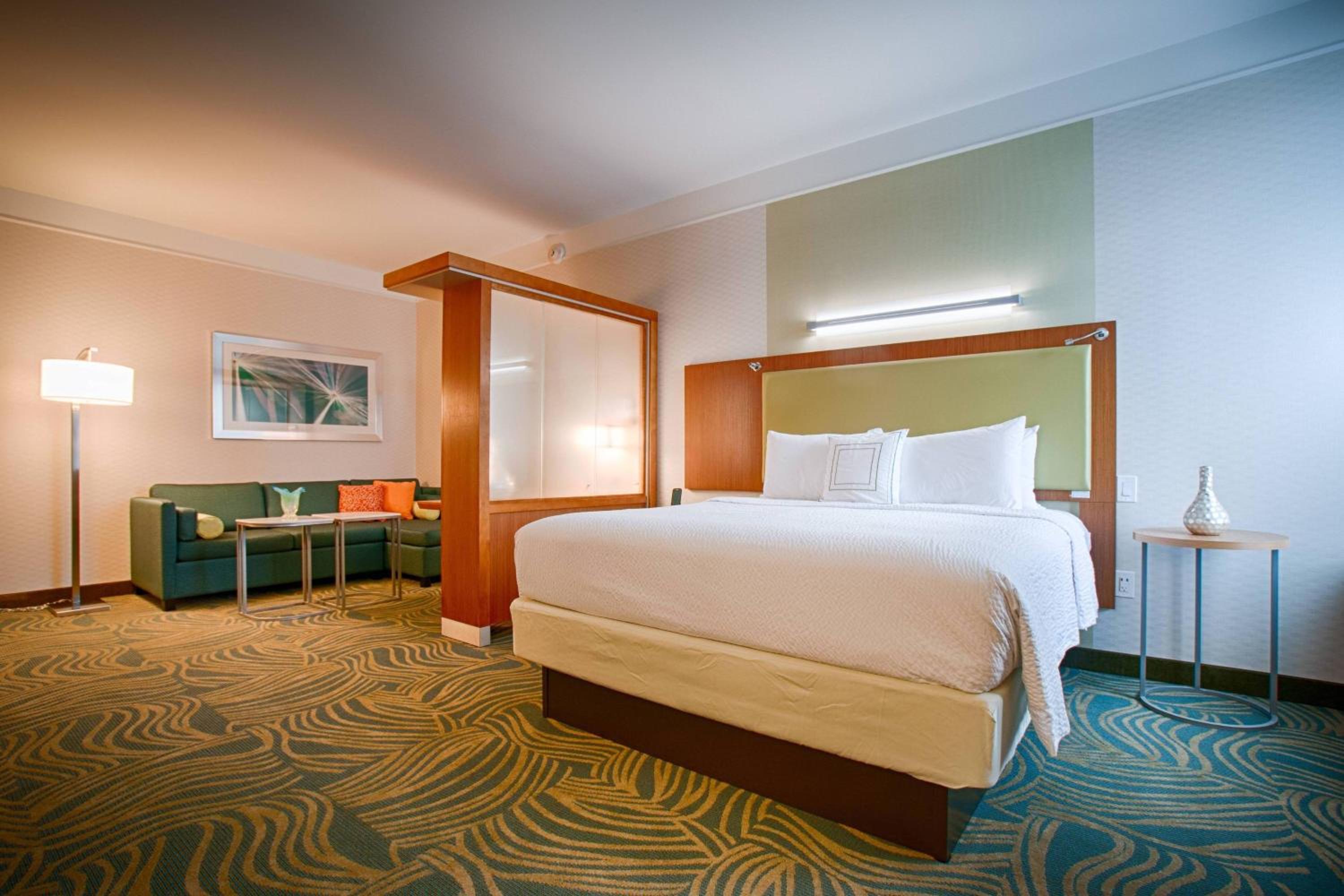 King Suite with Sofa Bed photo 1