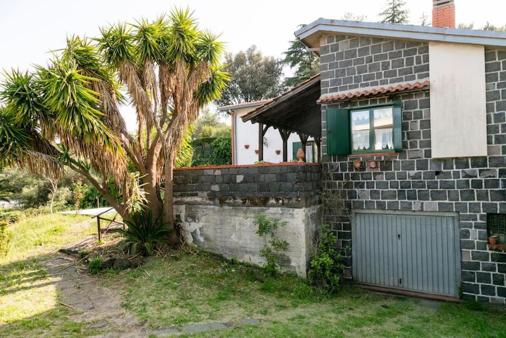 Three-Bedroom Chalet photo 3