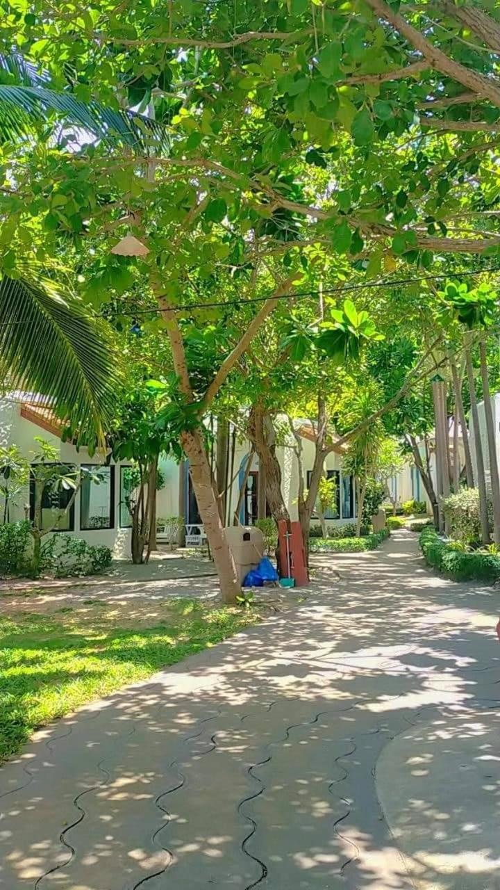 Villa - Beach Front photo 3