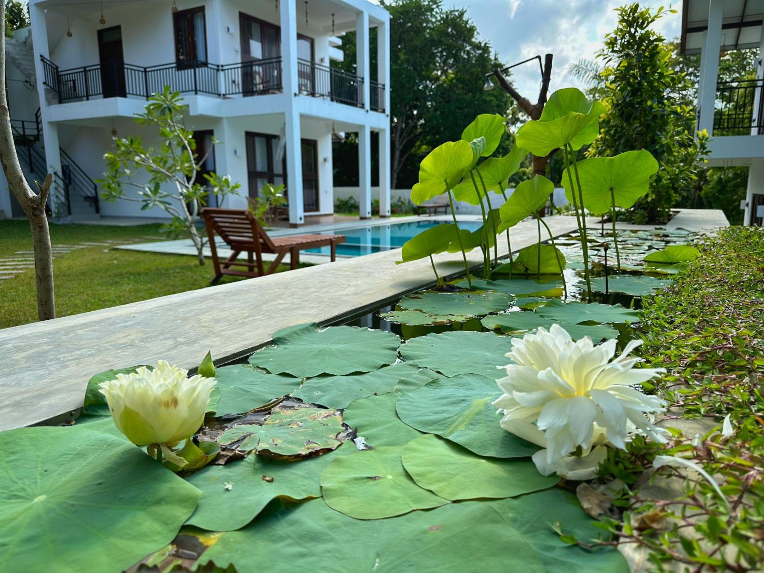 Deluxe Villa photo 2
