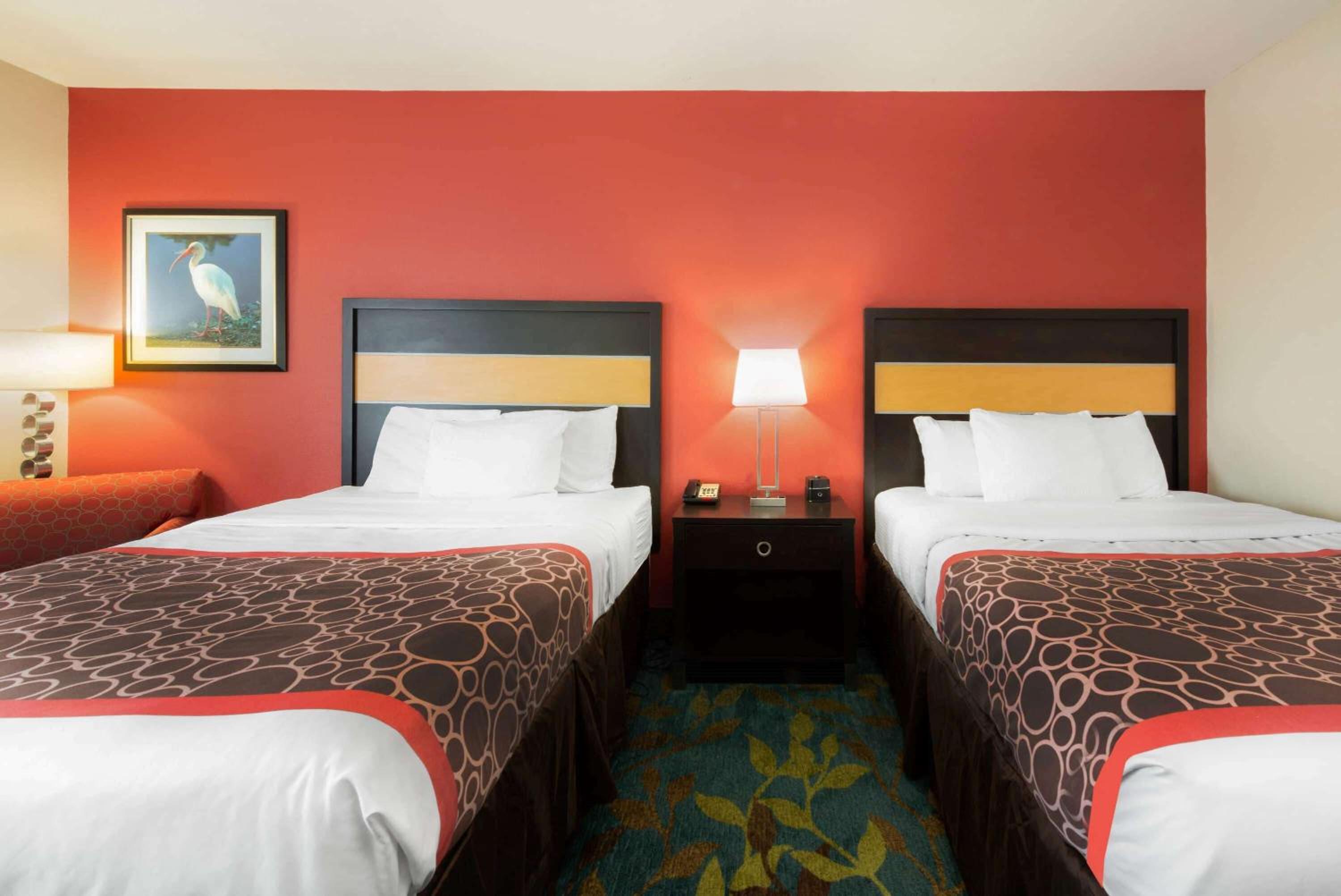 Queen Room with Two Queen Beds - Mobility Access/Non-Smoking photo 1