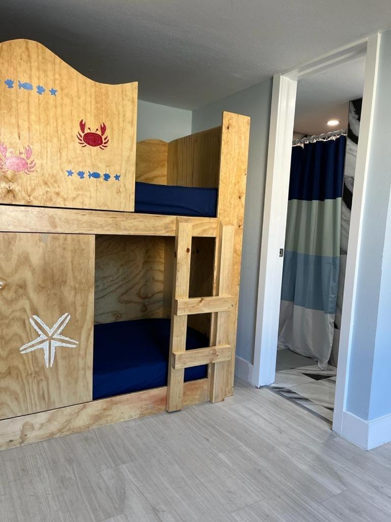 Single Bed in 4-Bed Dormitory Room photo 1