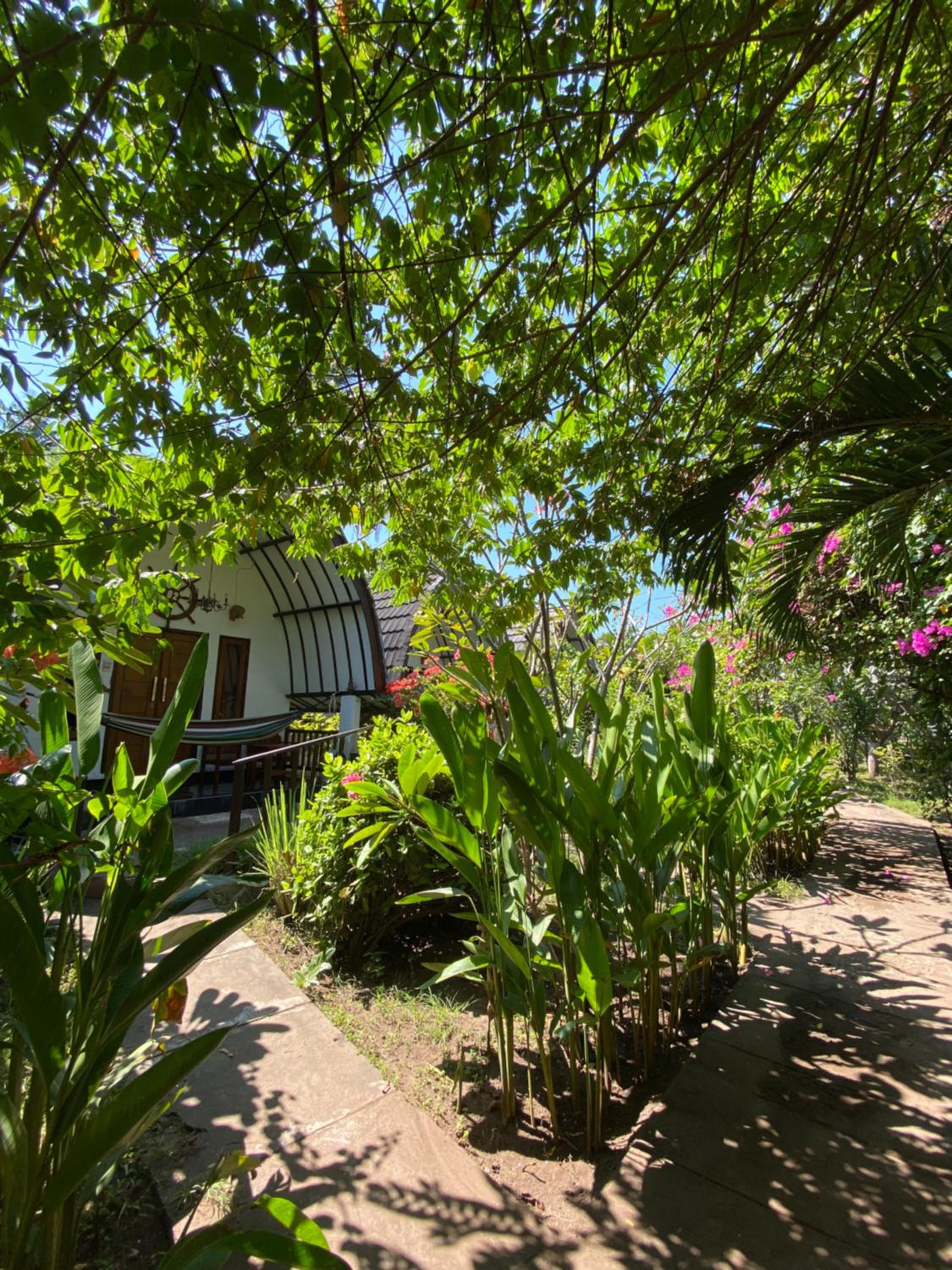 Bungalow - Photo 9