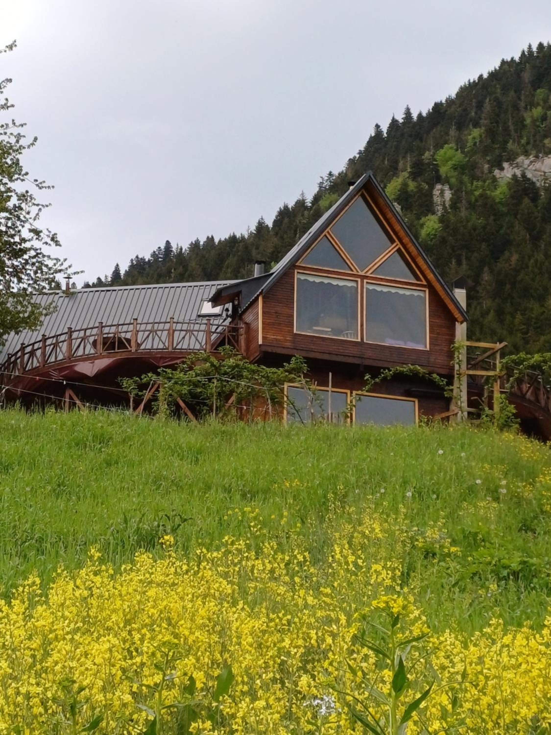 Bungalow photo 3