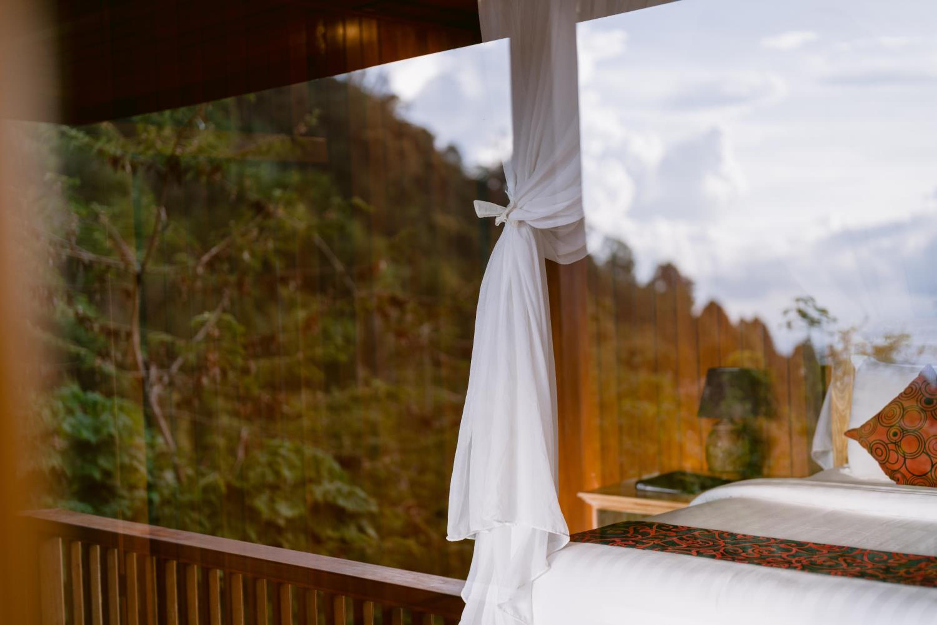 Studio with Mountain View -  Afternoon Tea Experience - Photo 6
