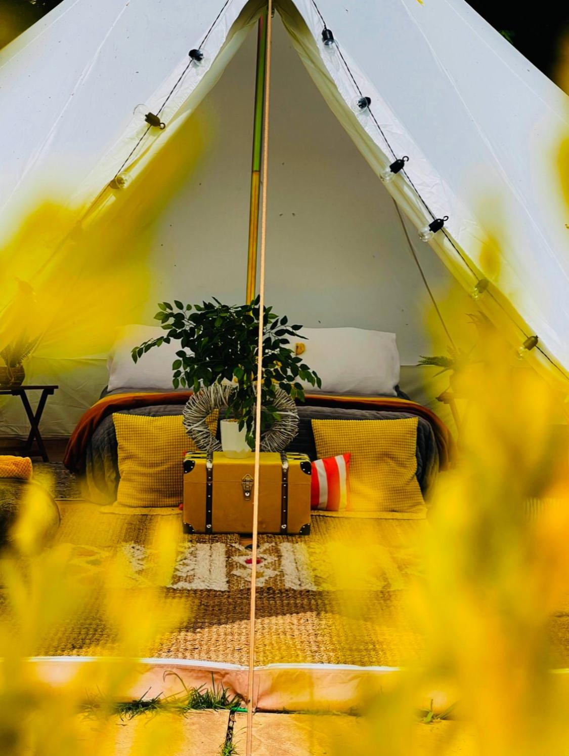 De luxe Bell Tent photo 2