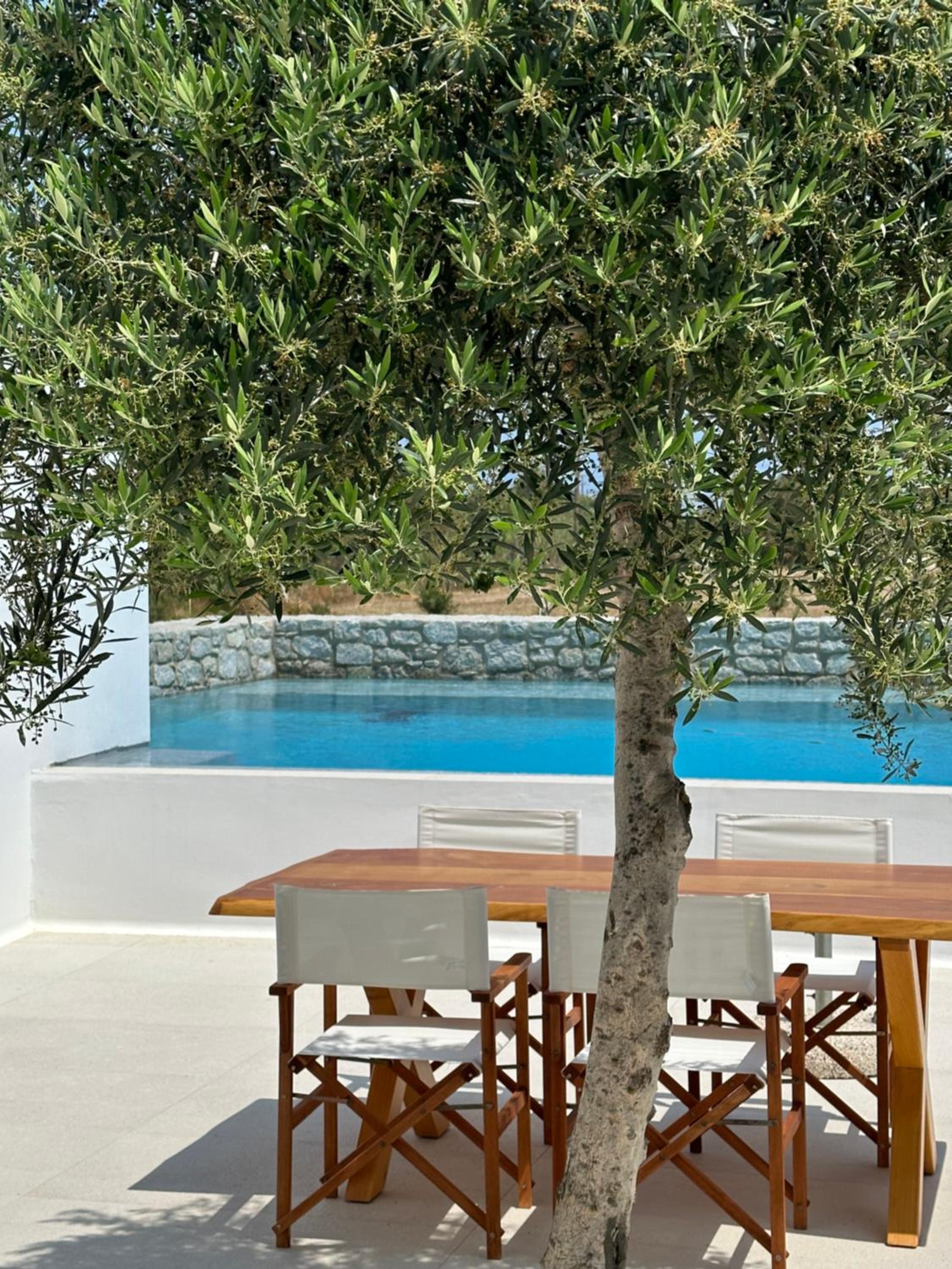 Villa with Private Pool - Photo 35