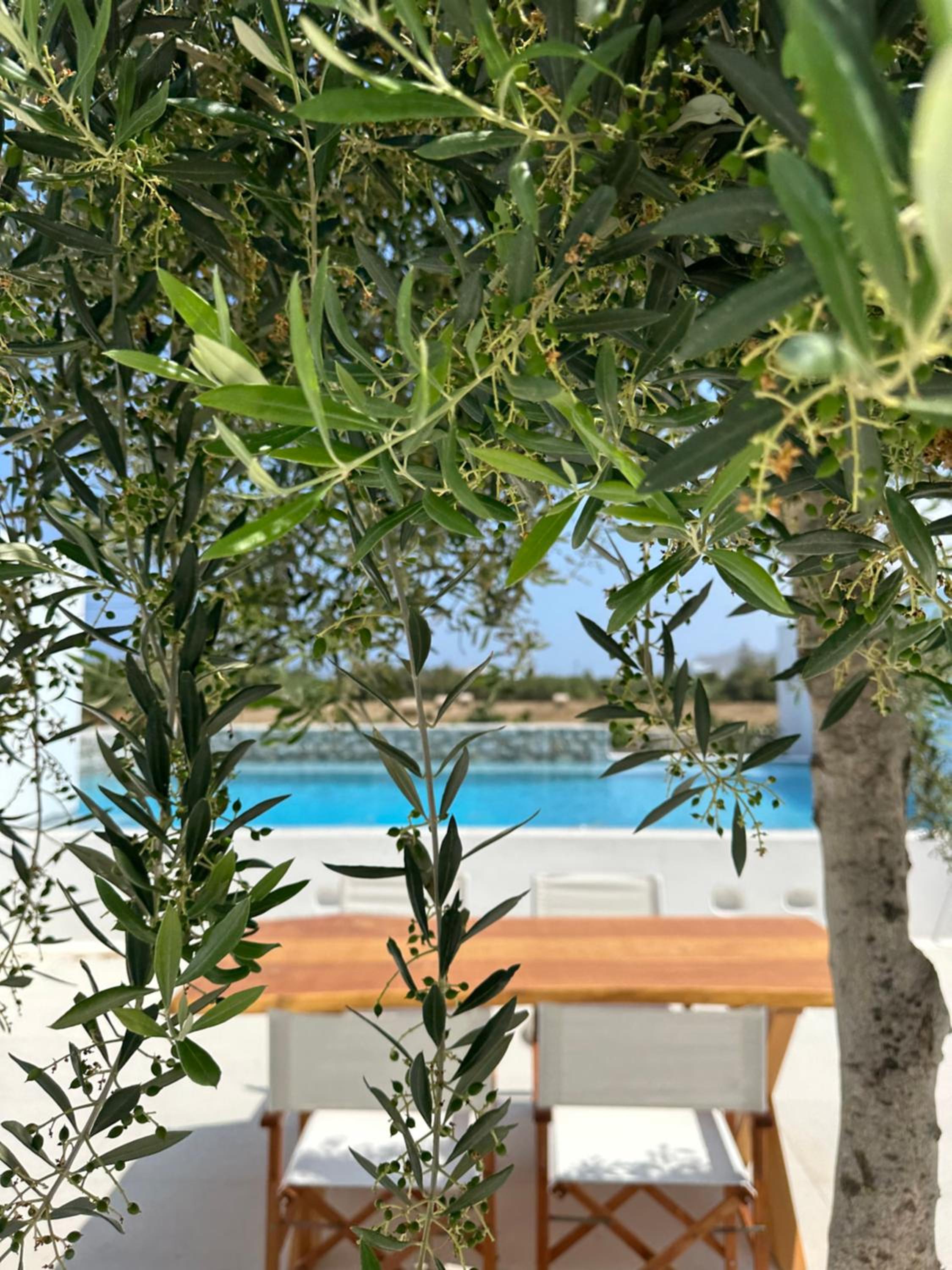 Villa with Private Pool - Photo 50