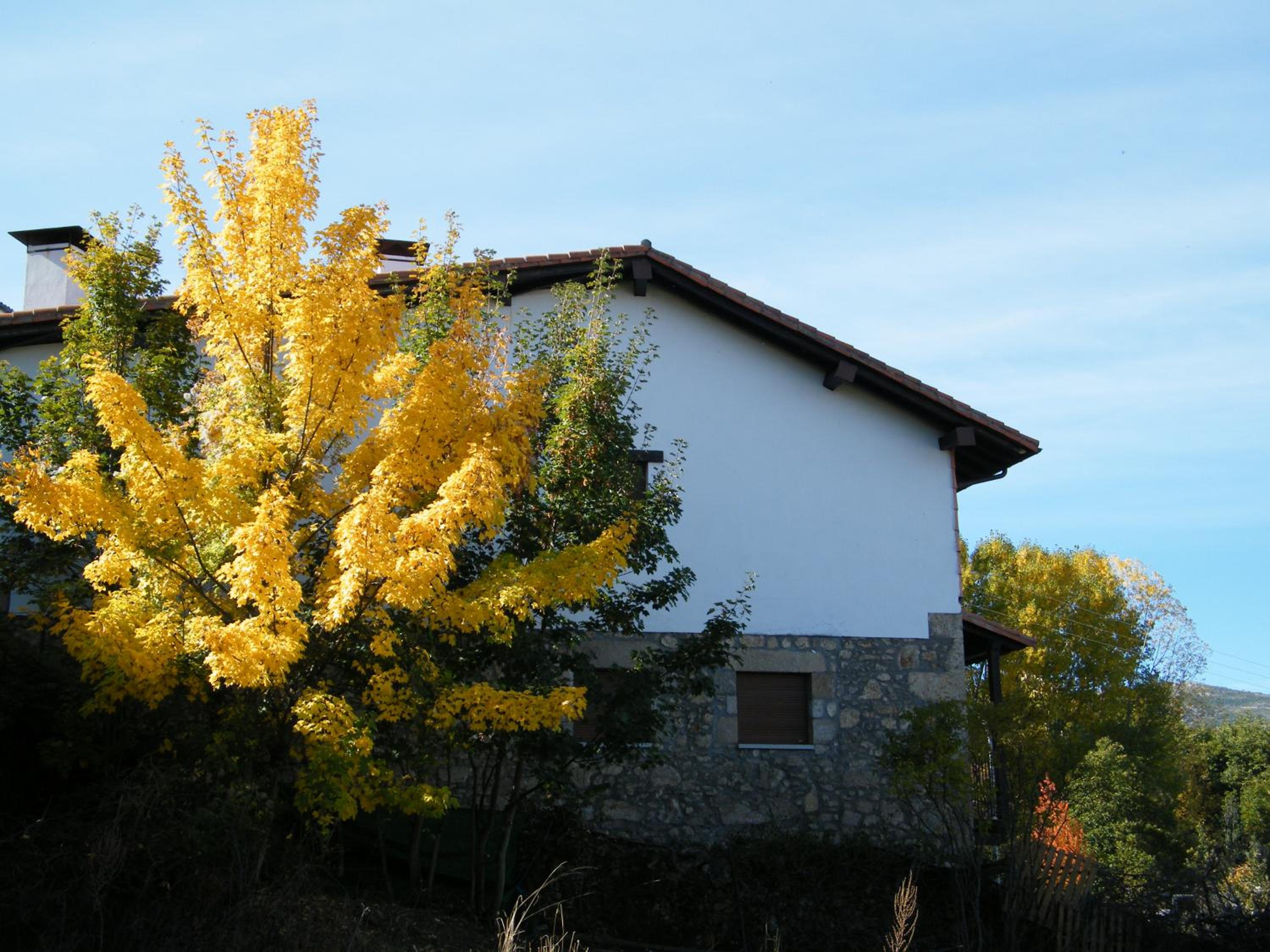 Three-Bedroom House photo 2