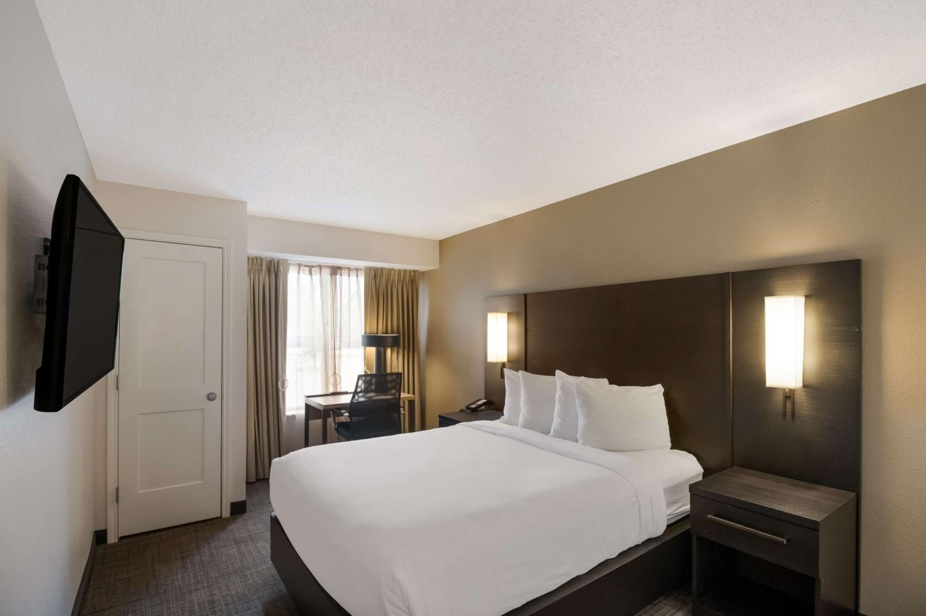One-Bedroom Suite - Photo 9