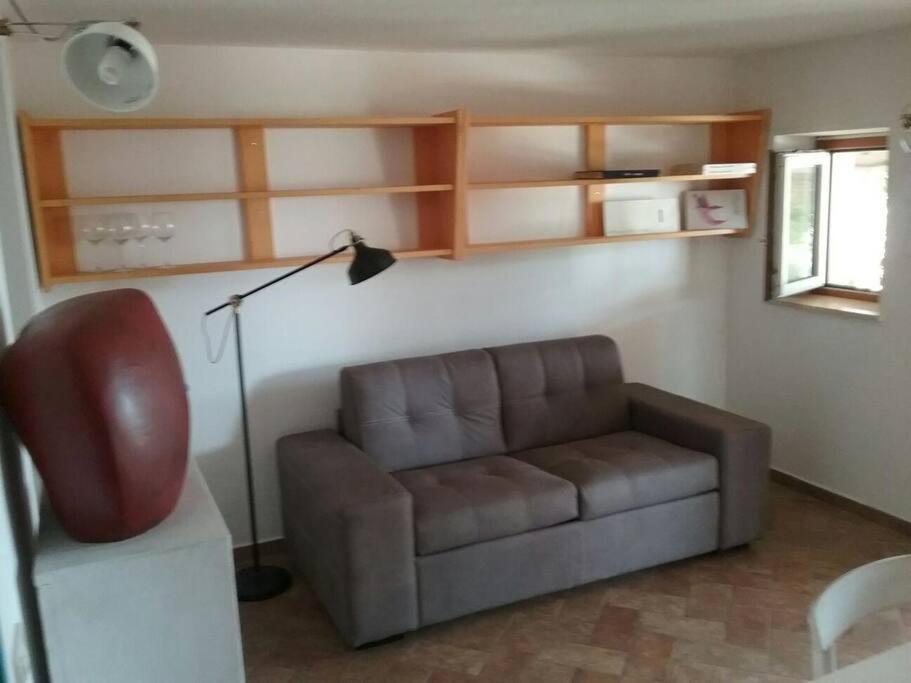 One-Bedroom House photo 3