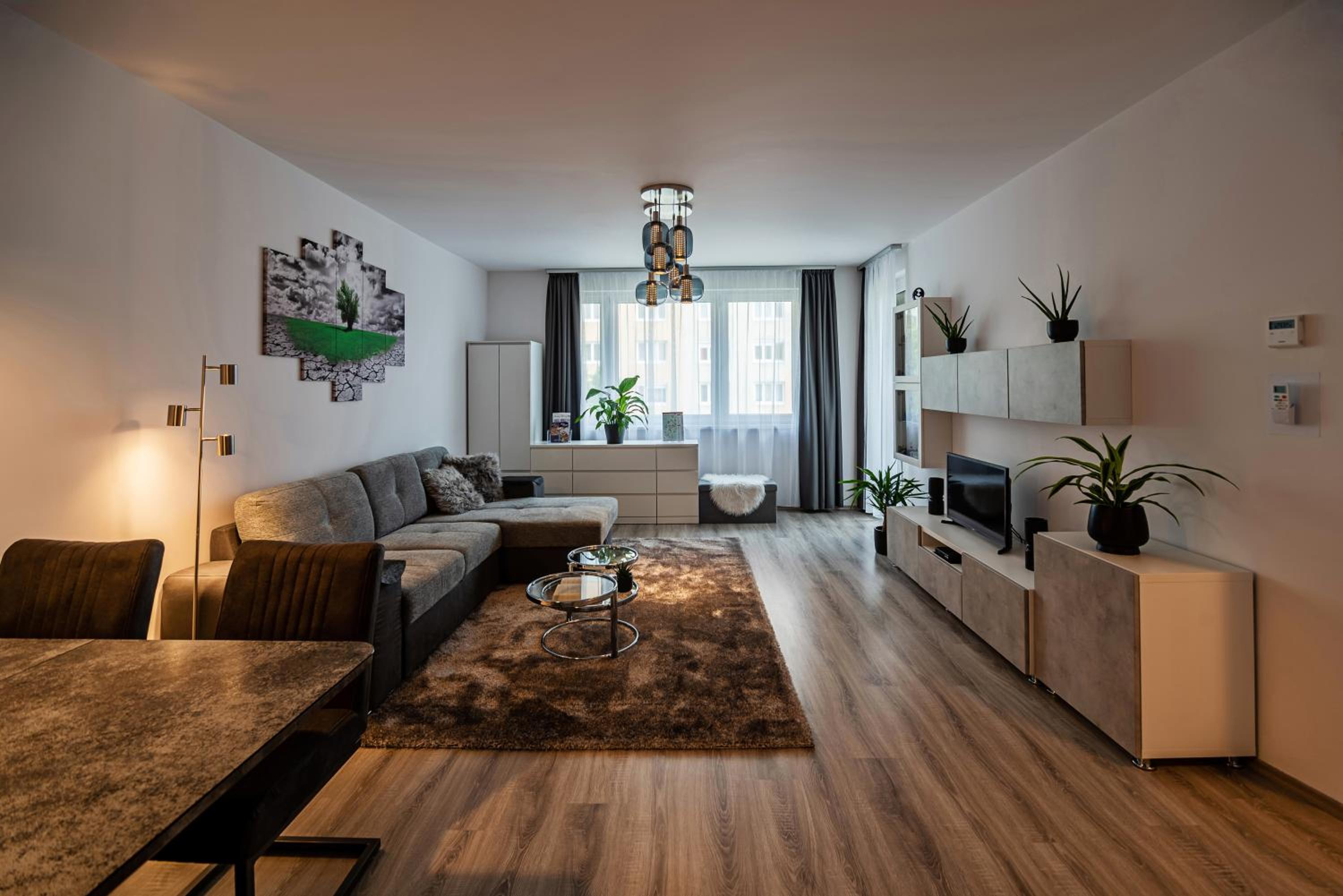 One-Bedroom Apartment photo 2