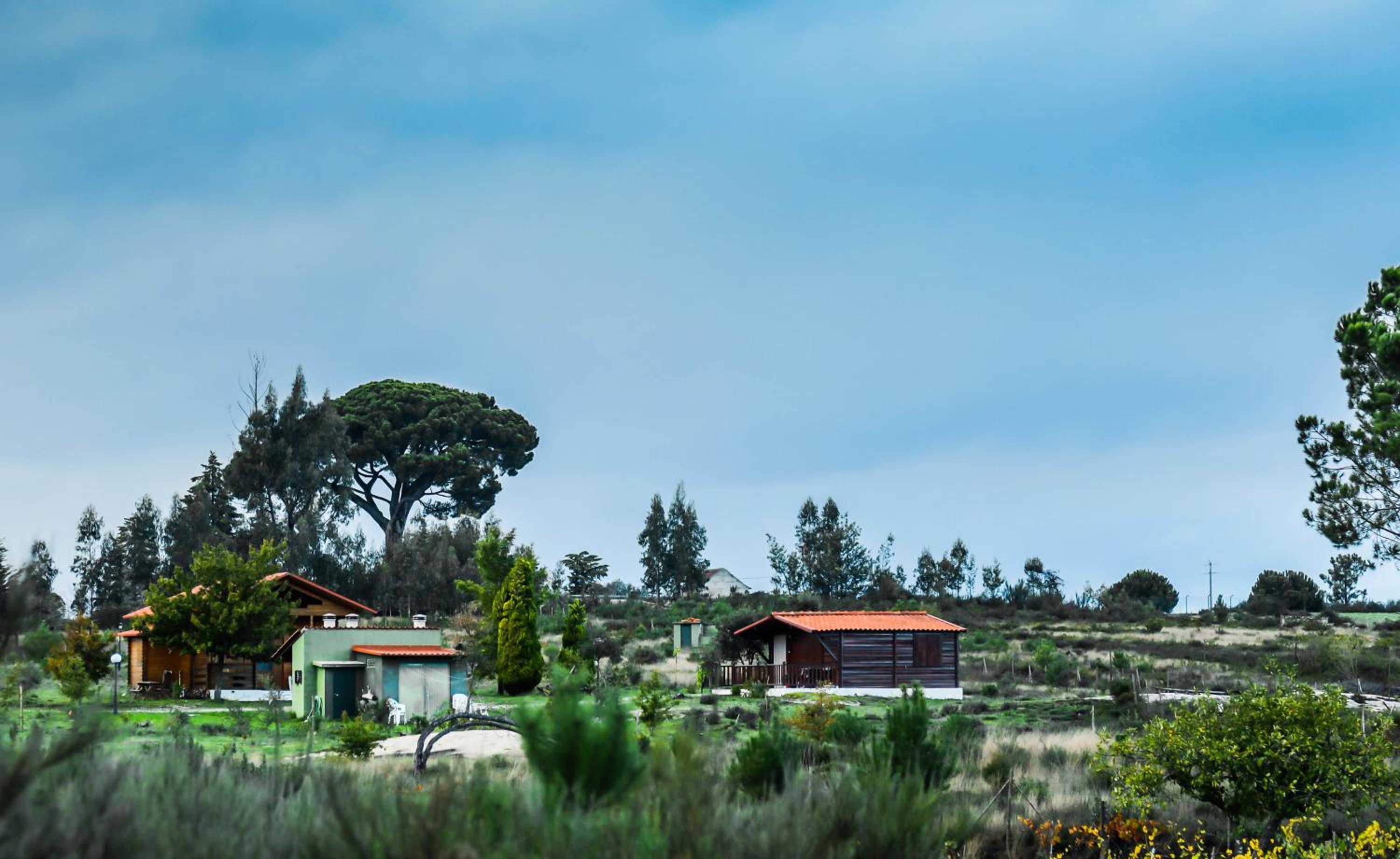 Vacation Home - Photo 25
