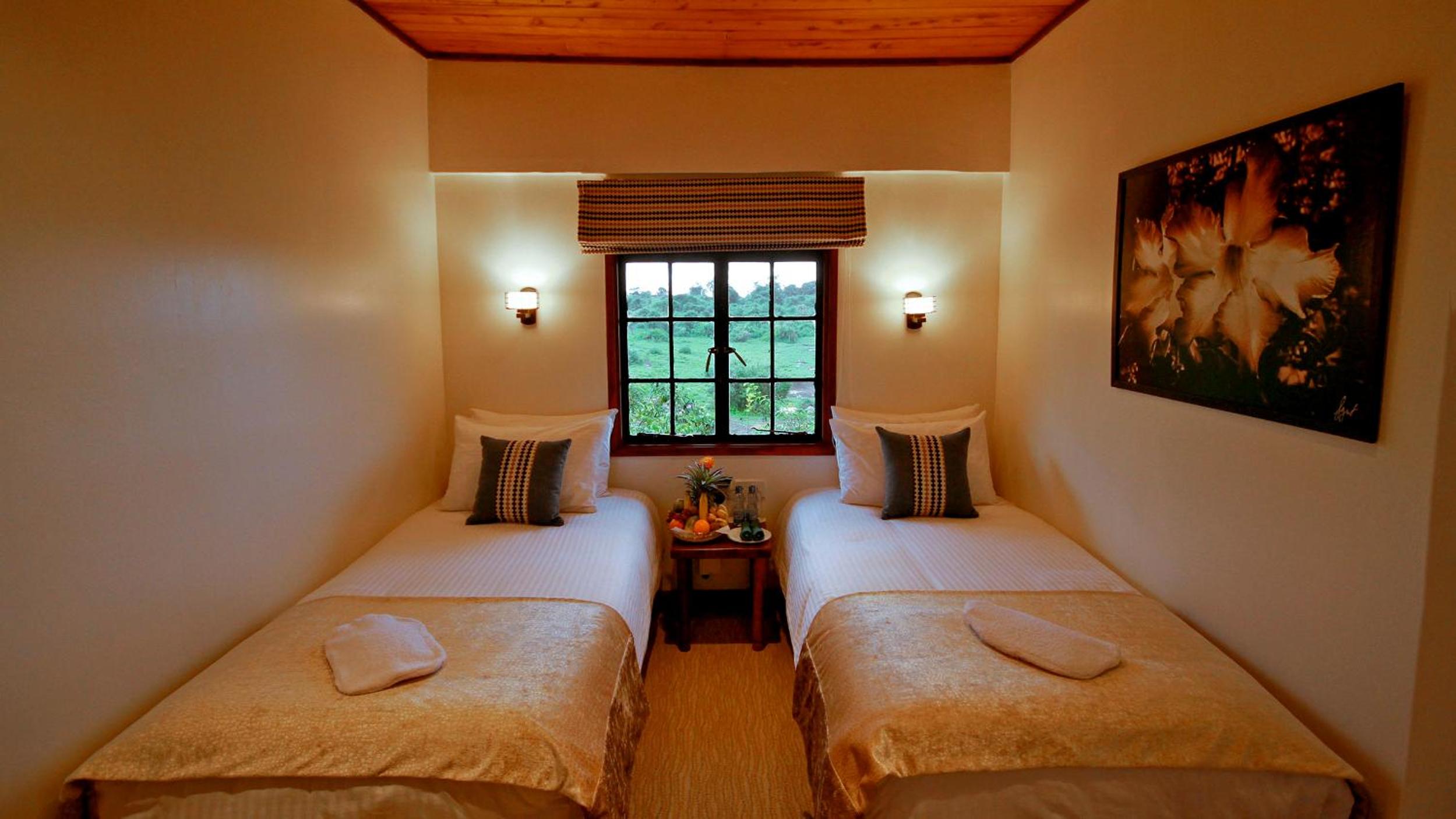 Standard Twin Room photo 2