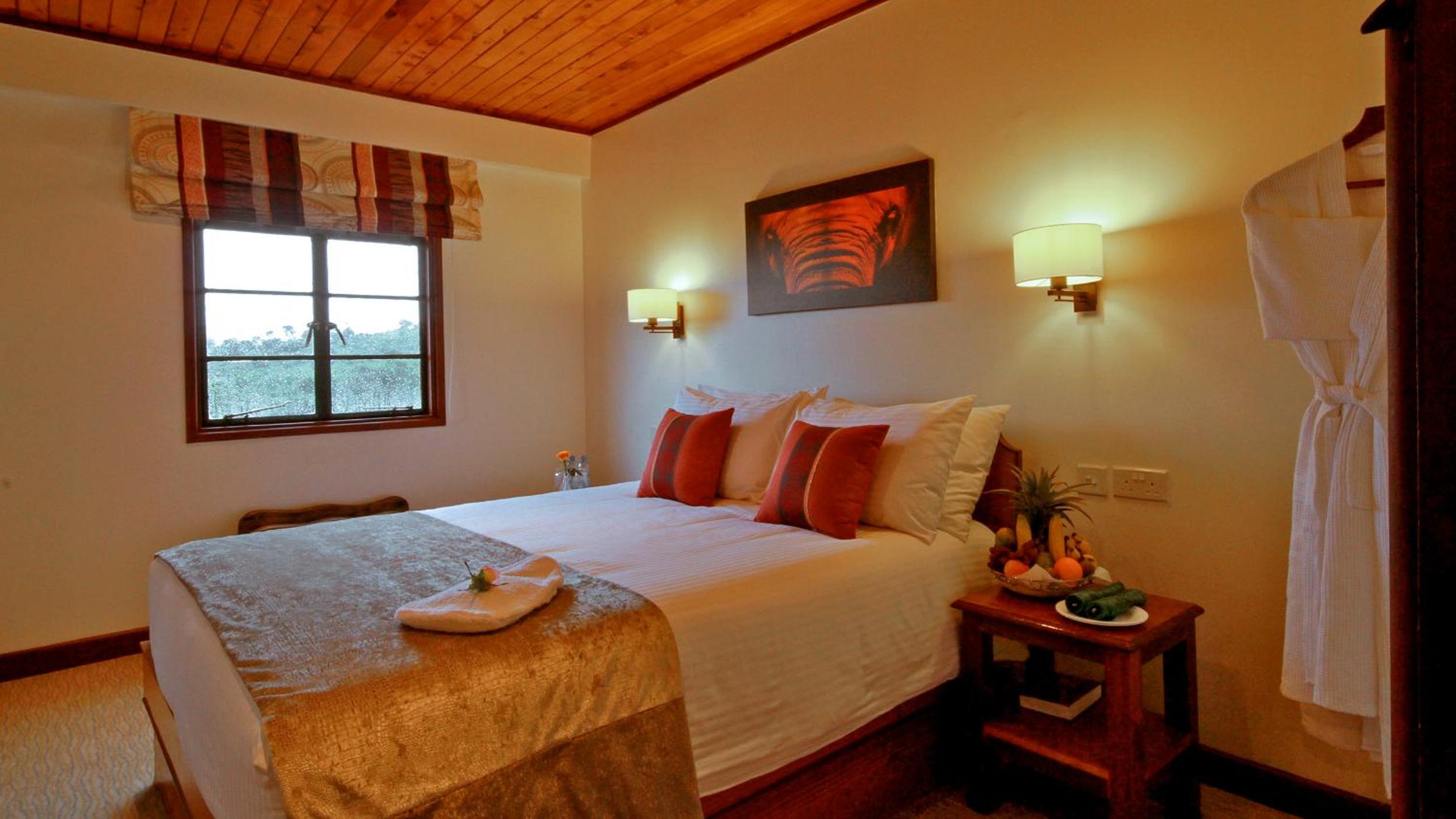 Standard Queen Room photo 3