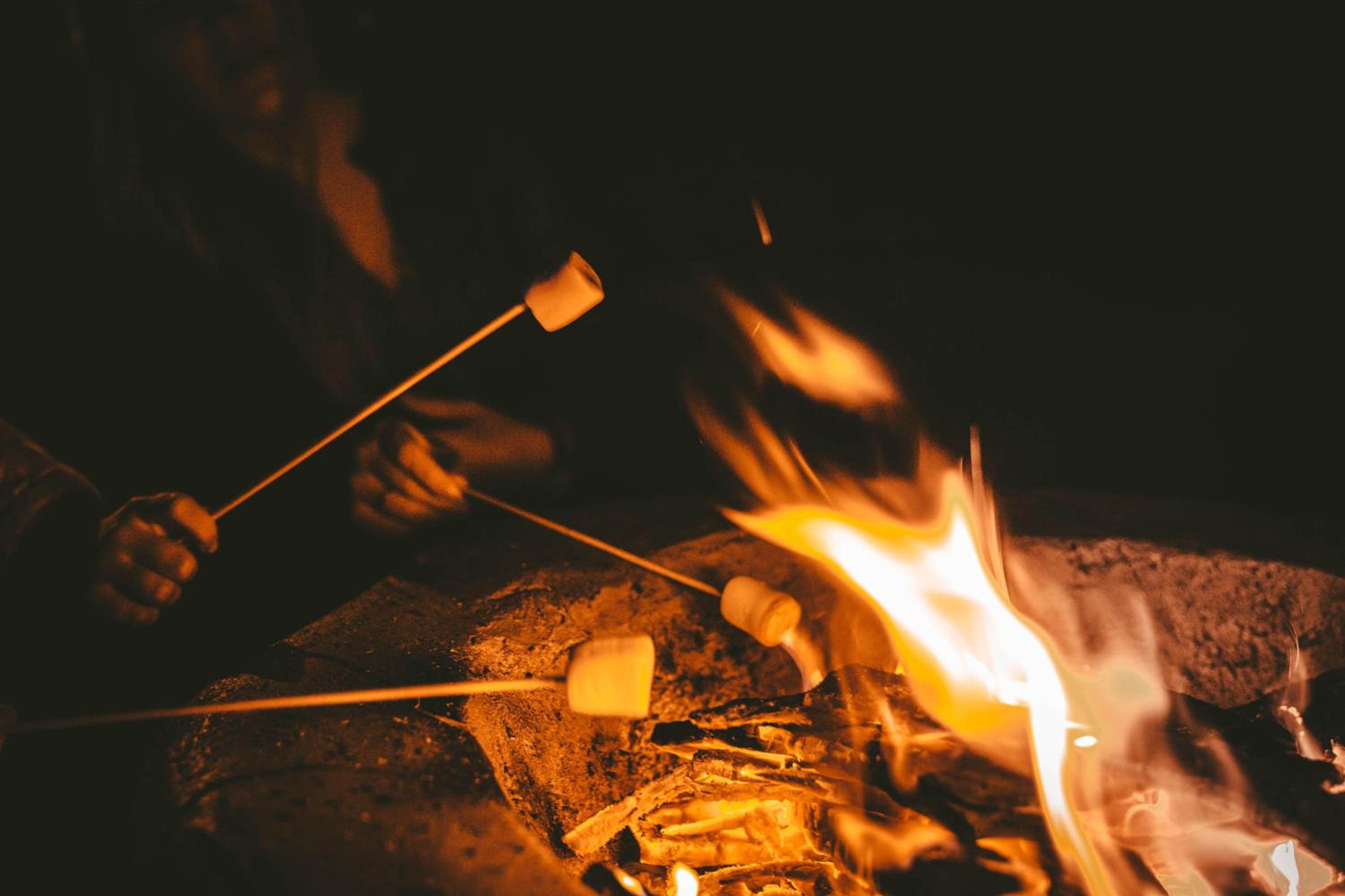 Superior Suite photo 3