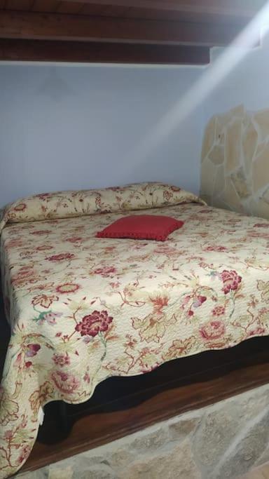 Studio Apartment photo 1