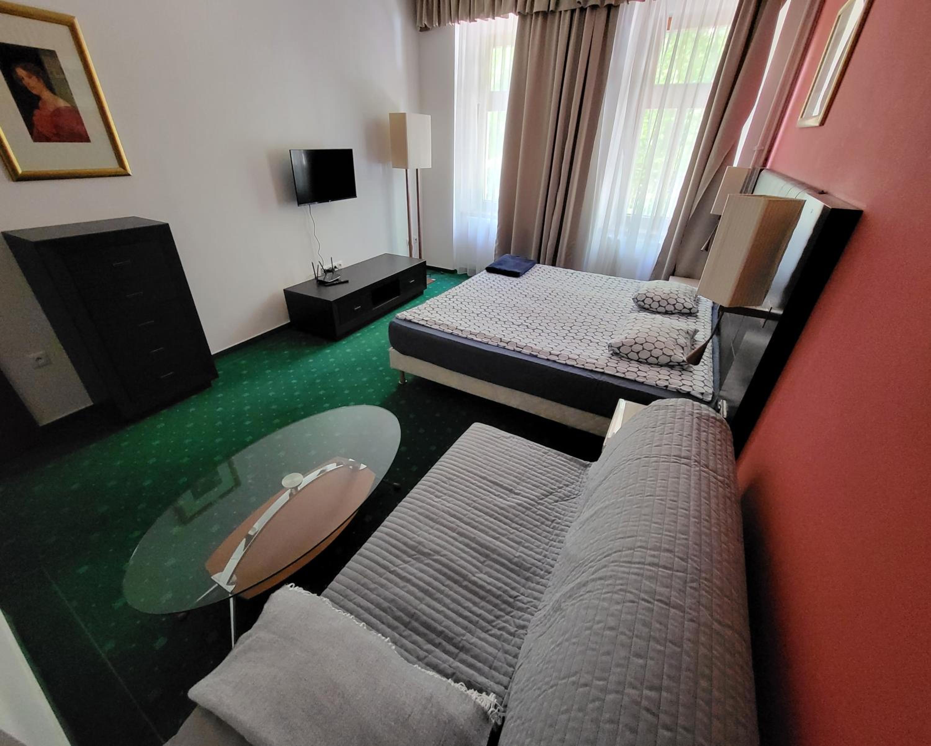 One-Bedroom Apartment photo 3