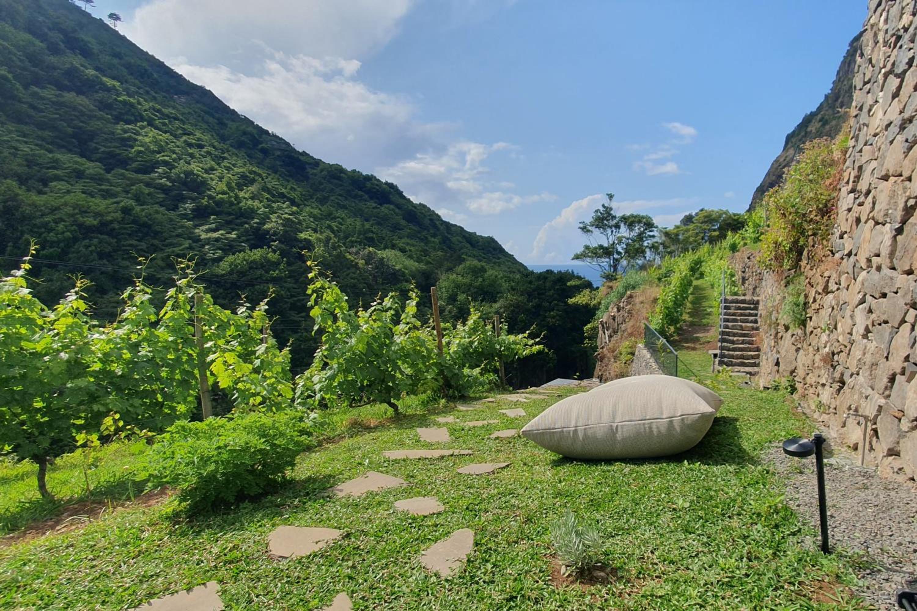 Superior Villa photo 2