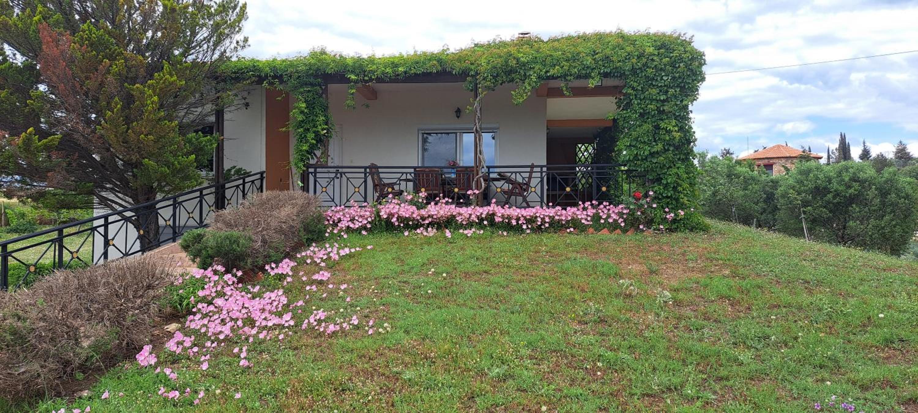 Two-Bedroom Villa photo 3