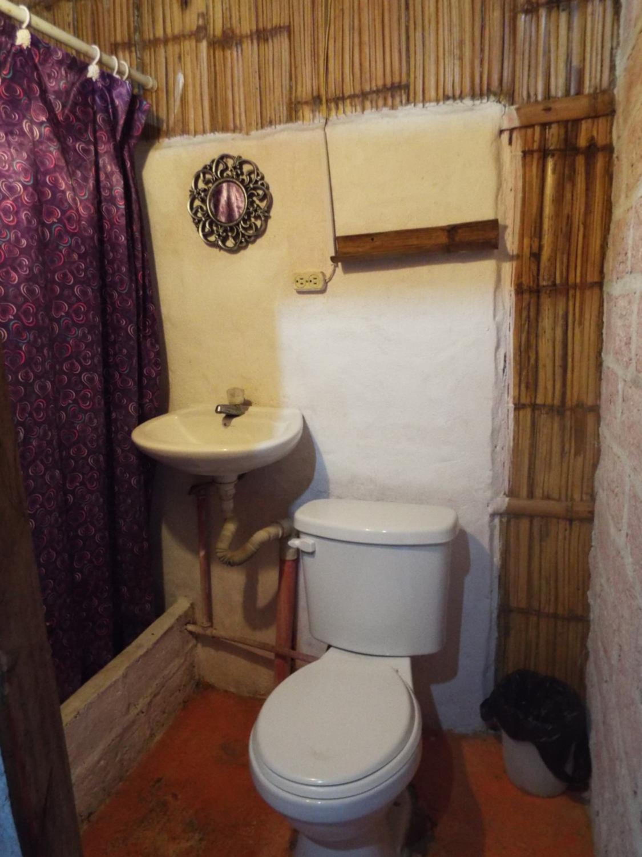 Double or Twin Room photo 2