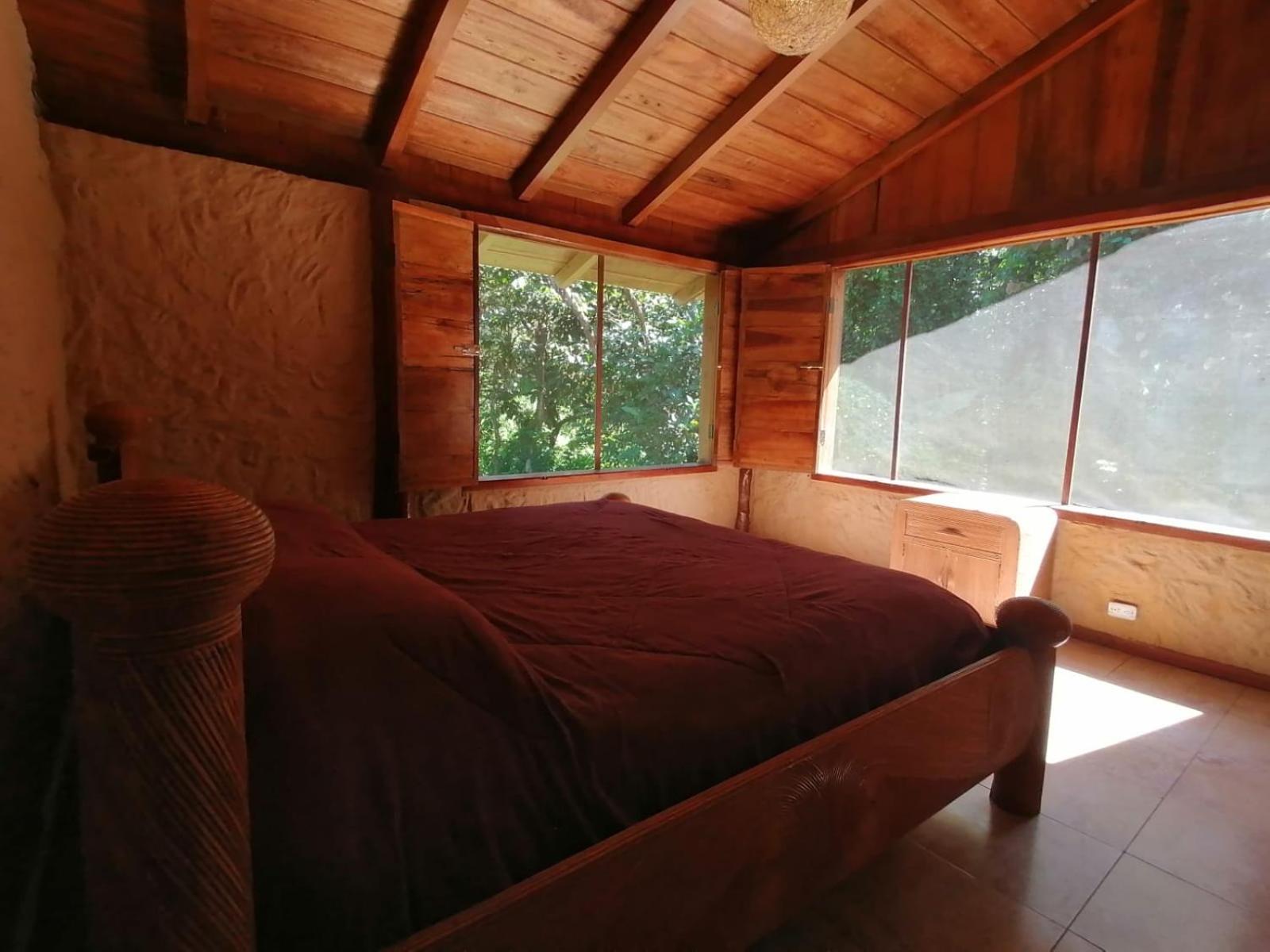 King Room with Garden View photo 1